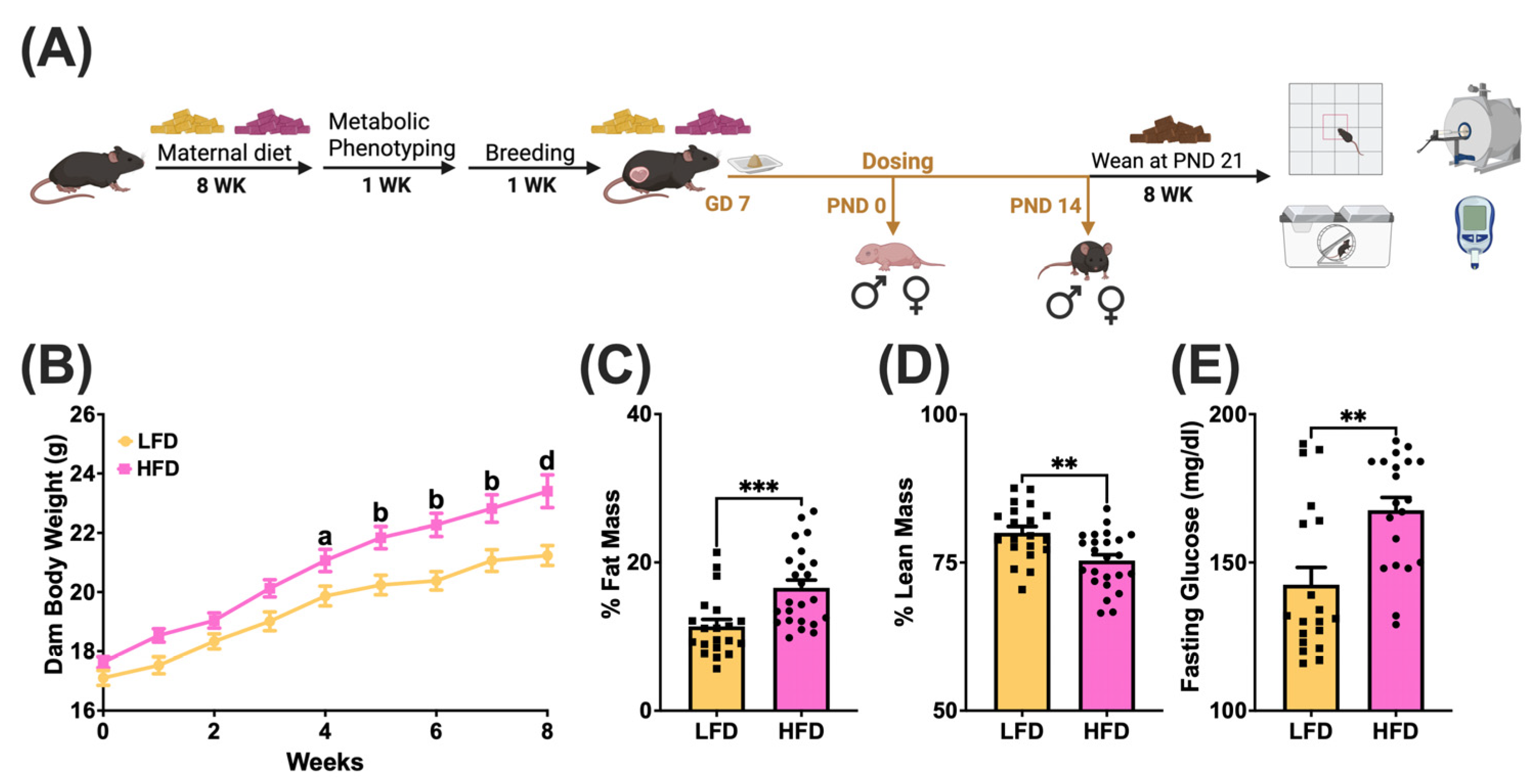 Toxics 13 00639 g001