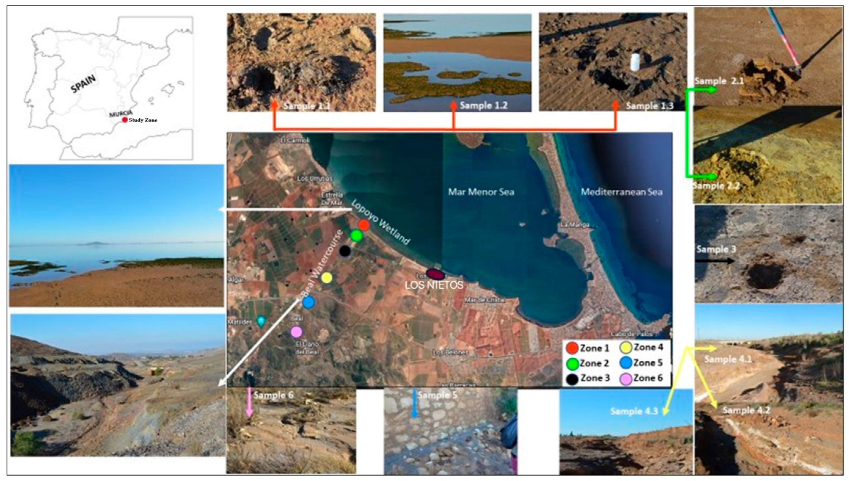 Toxics 13 00647 g001