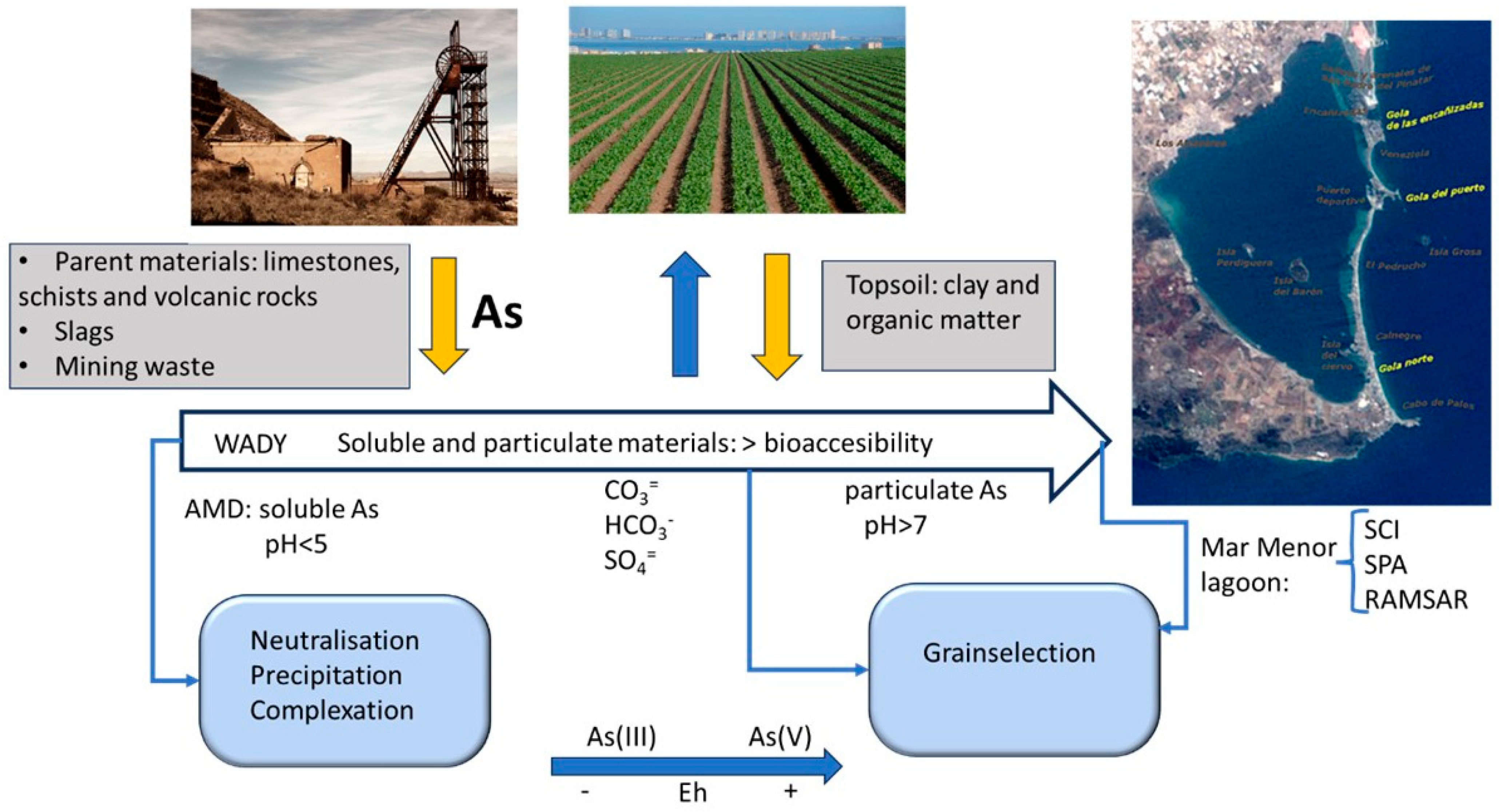 Toxics 13 00647 g007