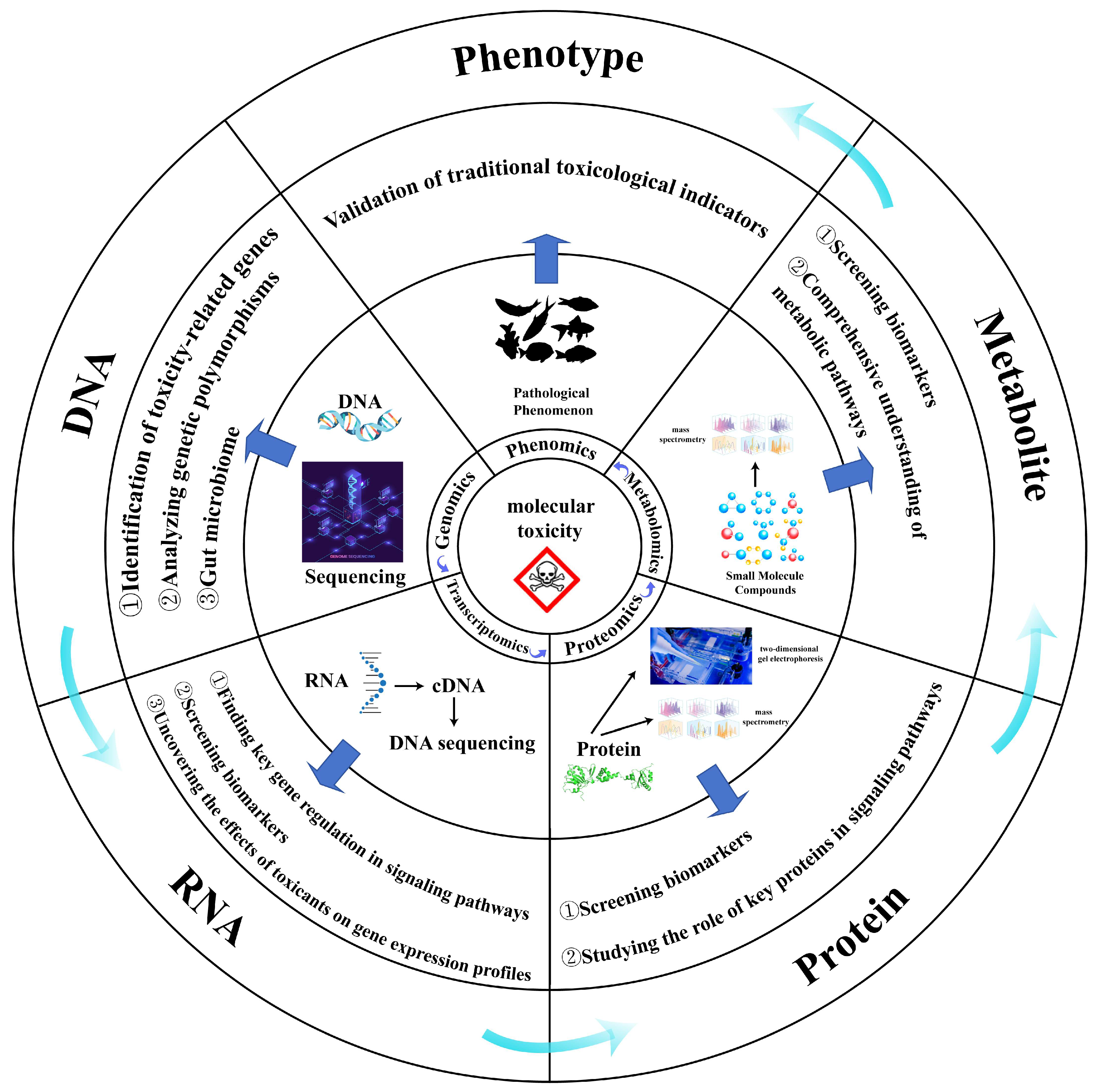 Toxics 13 00653 g001