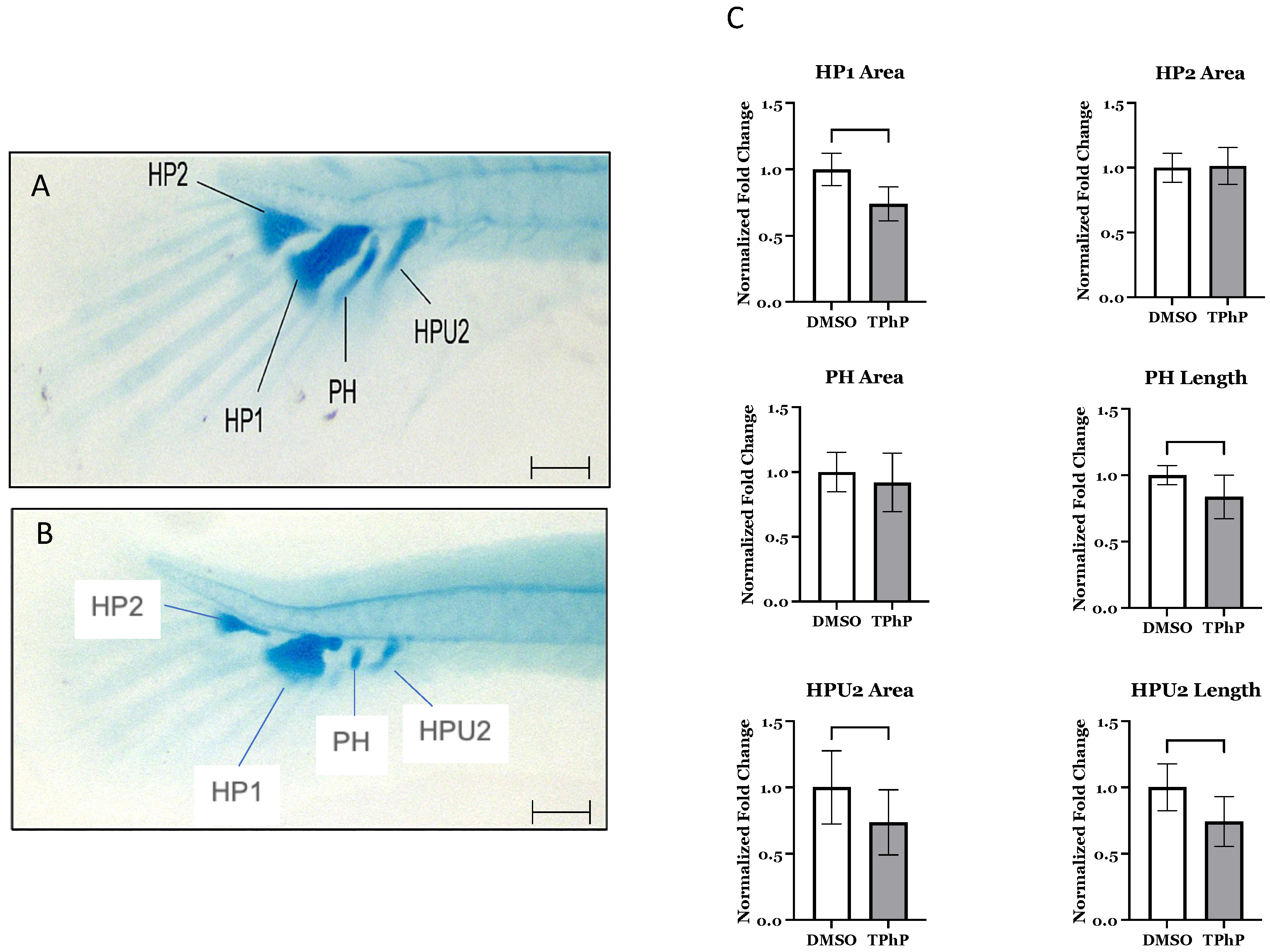 Toxics 13 00654 g002