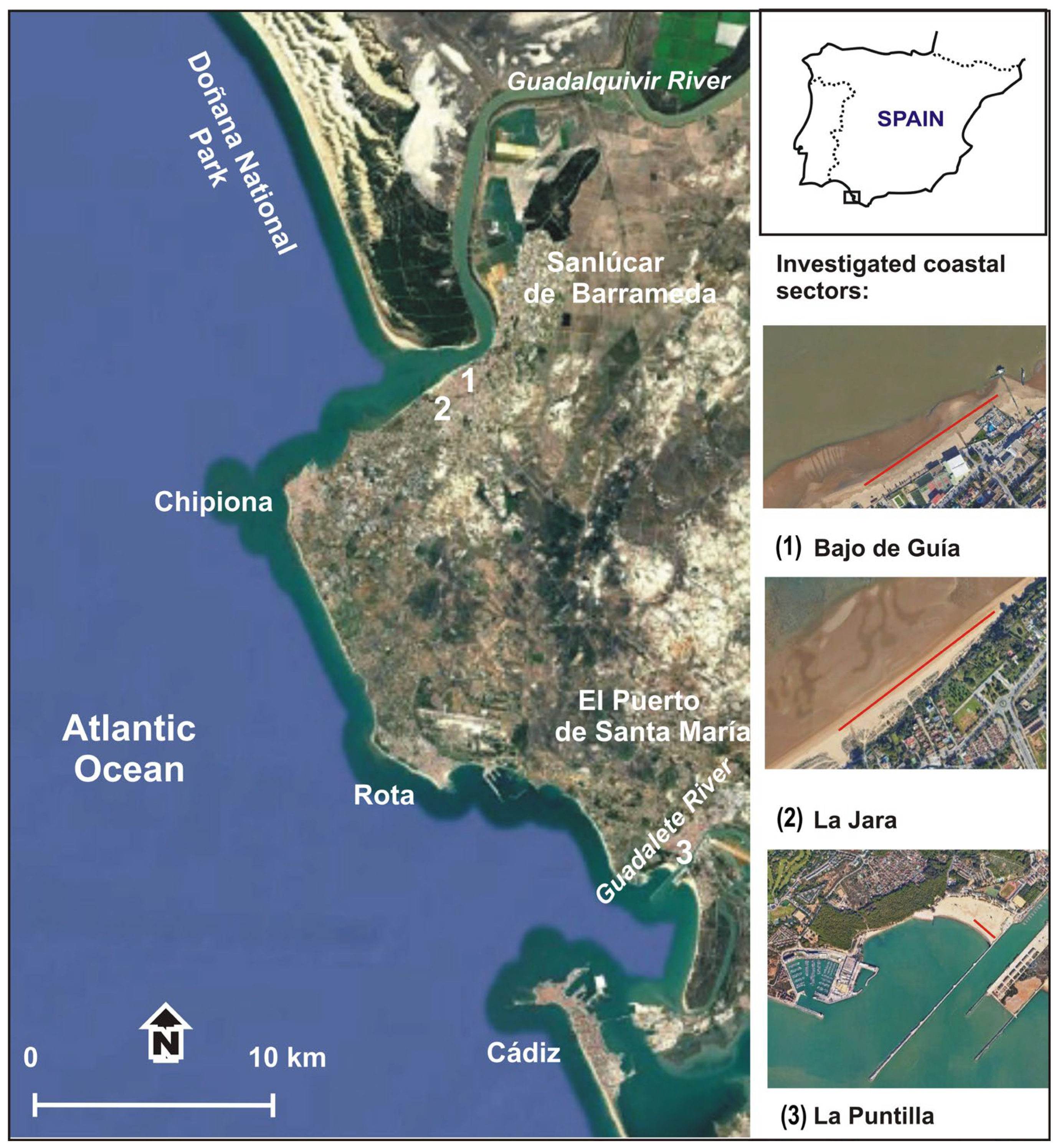 Toxics 13 00673 g001