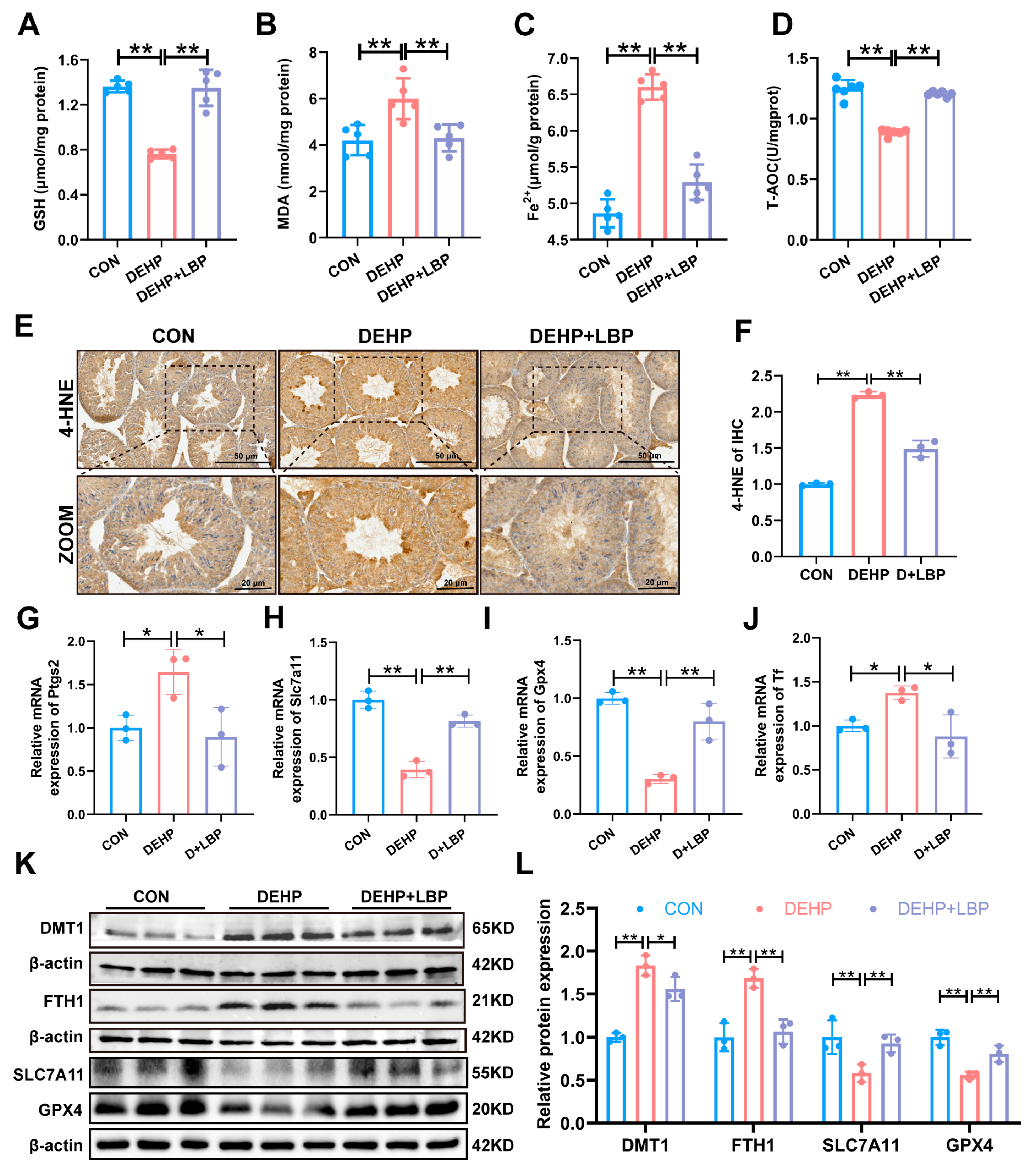 Toxics 13 00677 g003