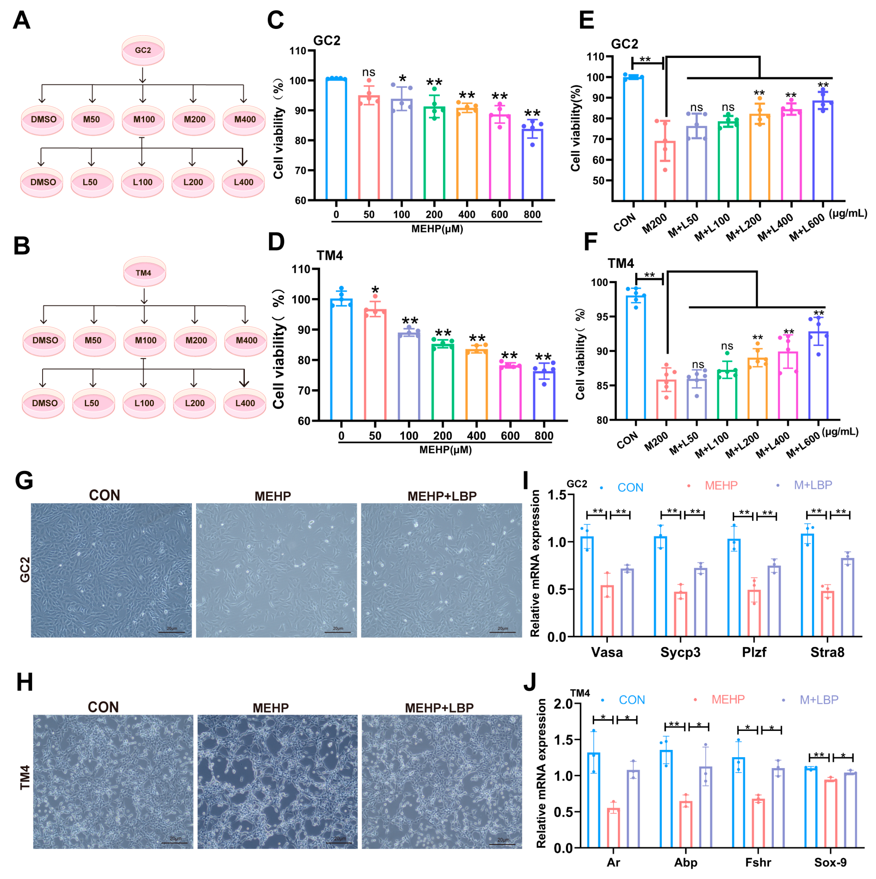 Toxics 13 00677 g004