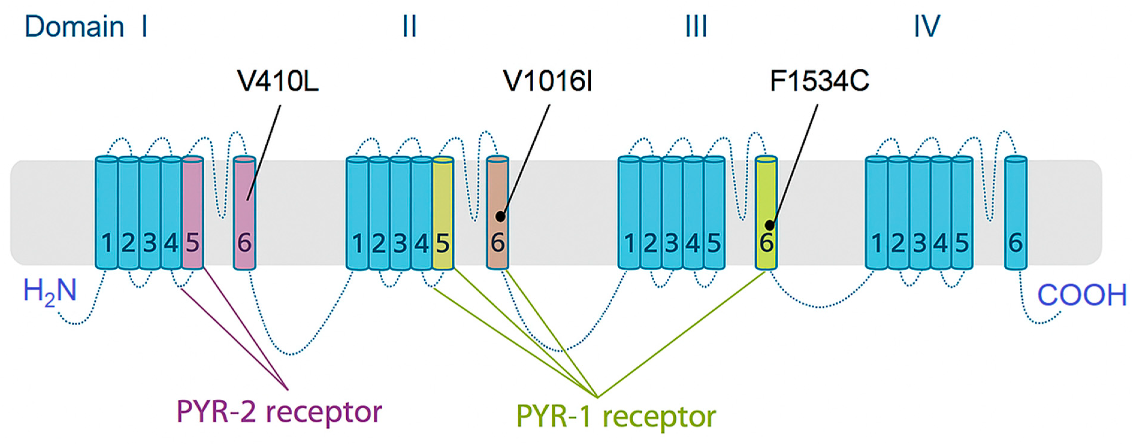 Toxics 13 00681 g003 Toxics 13 00681 g003