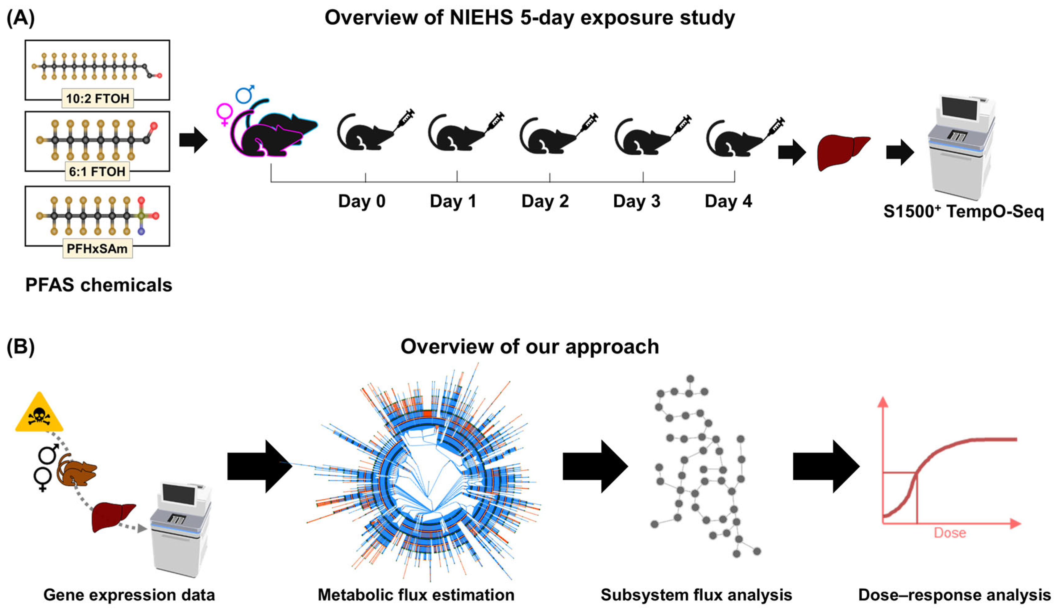 Toxics 13 00684 g001