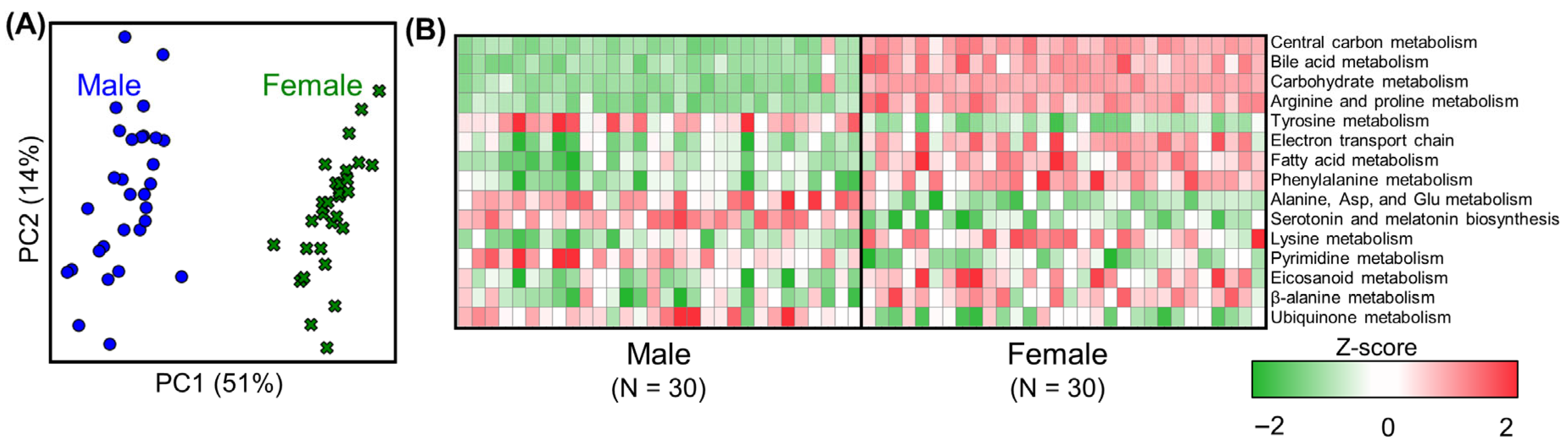 Toxics 13 00684 g002