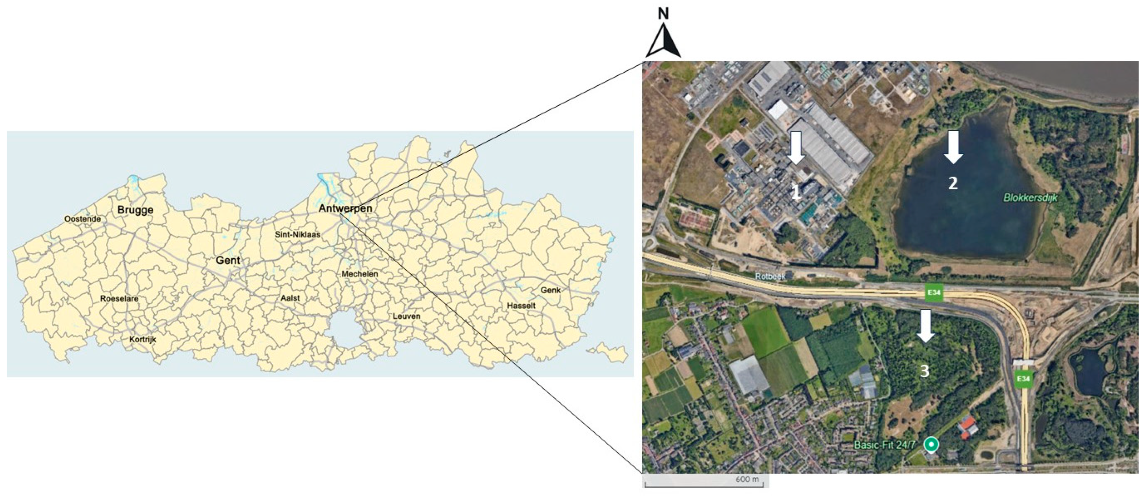 Toxics 13 00689 g001