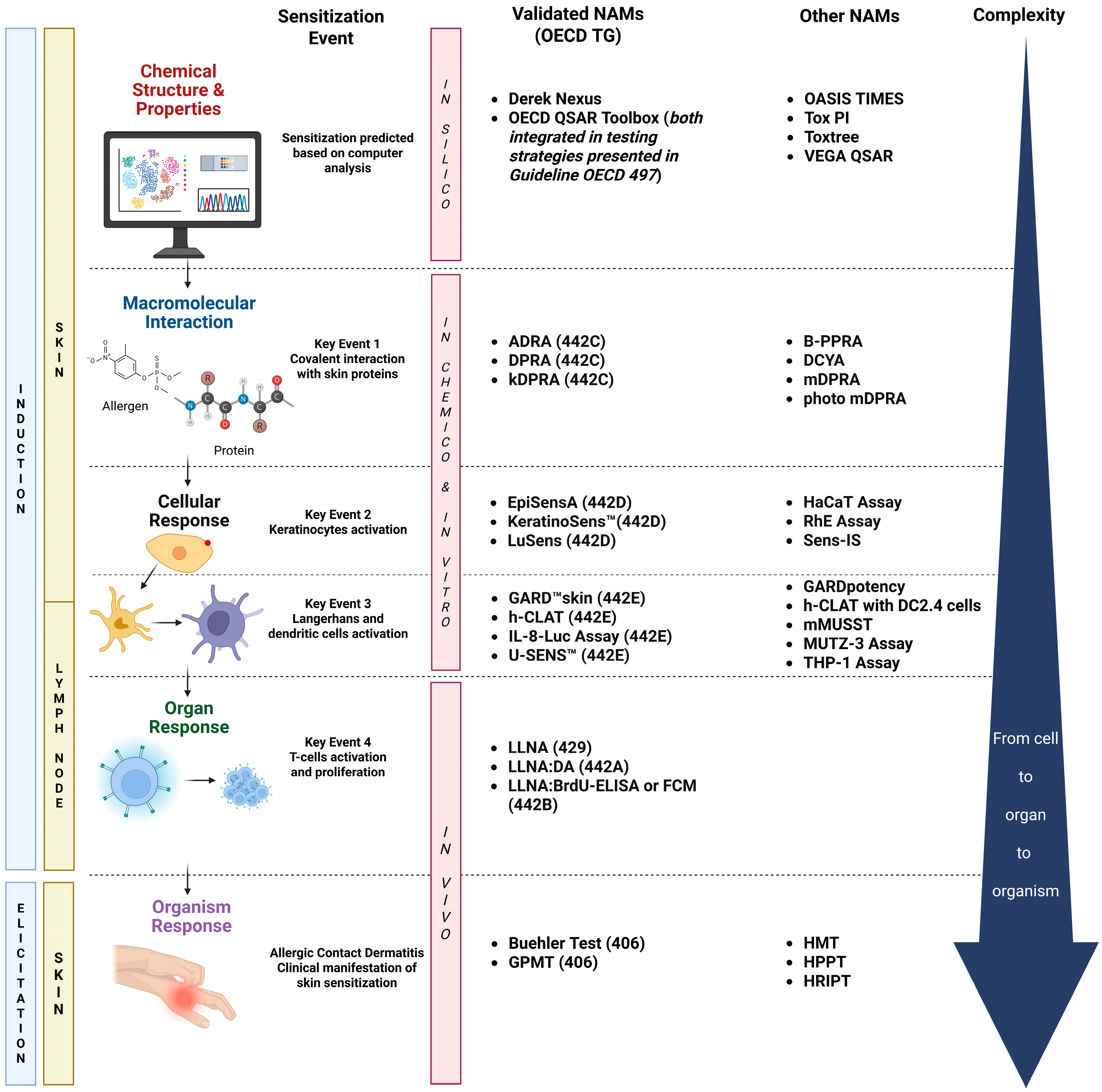 Toxics 13 00693 g001