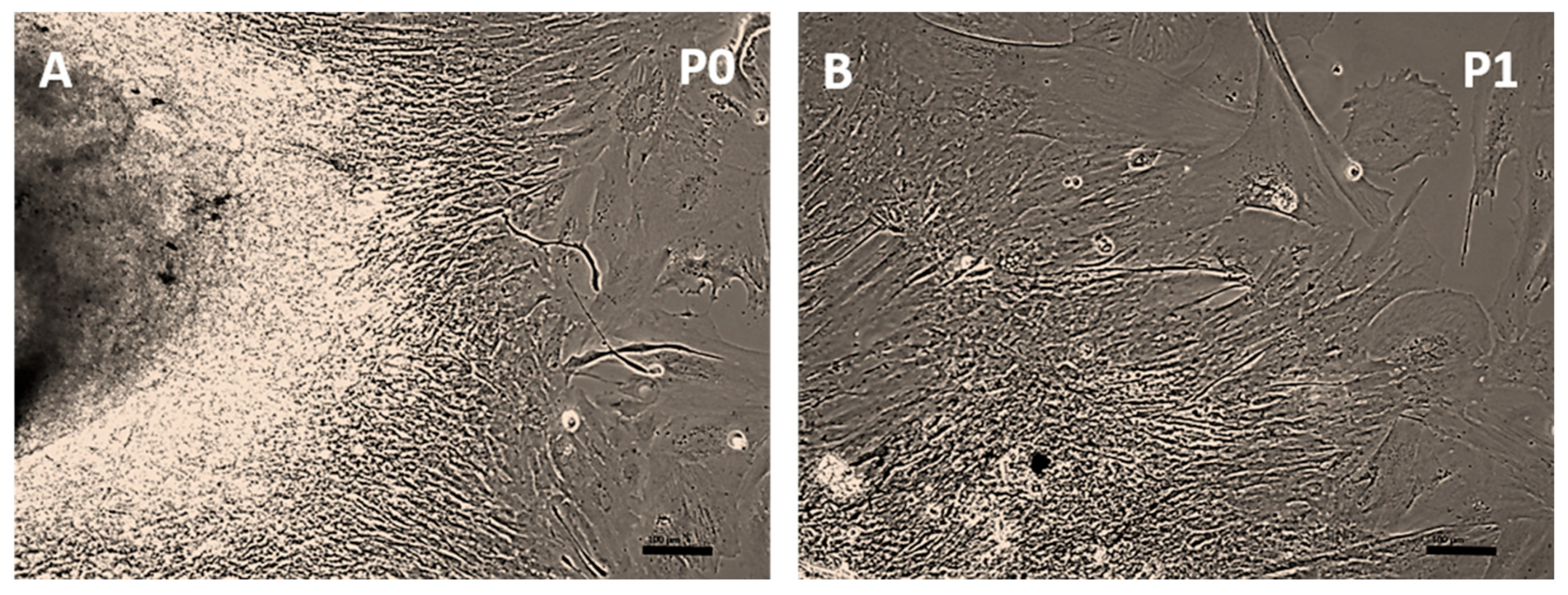 Toxics 13 00696 g001