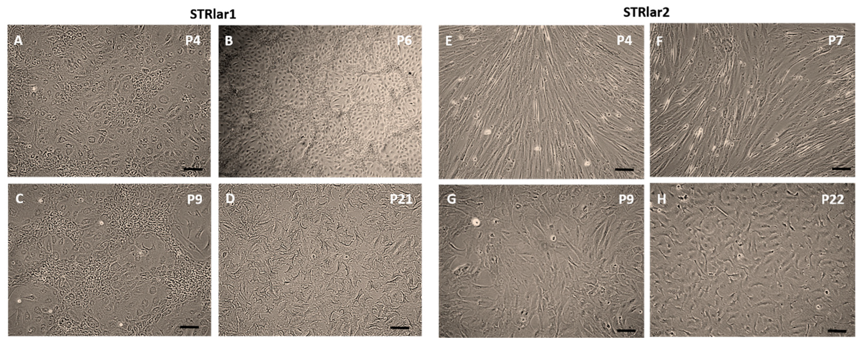 Toxics 13 00696 g002