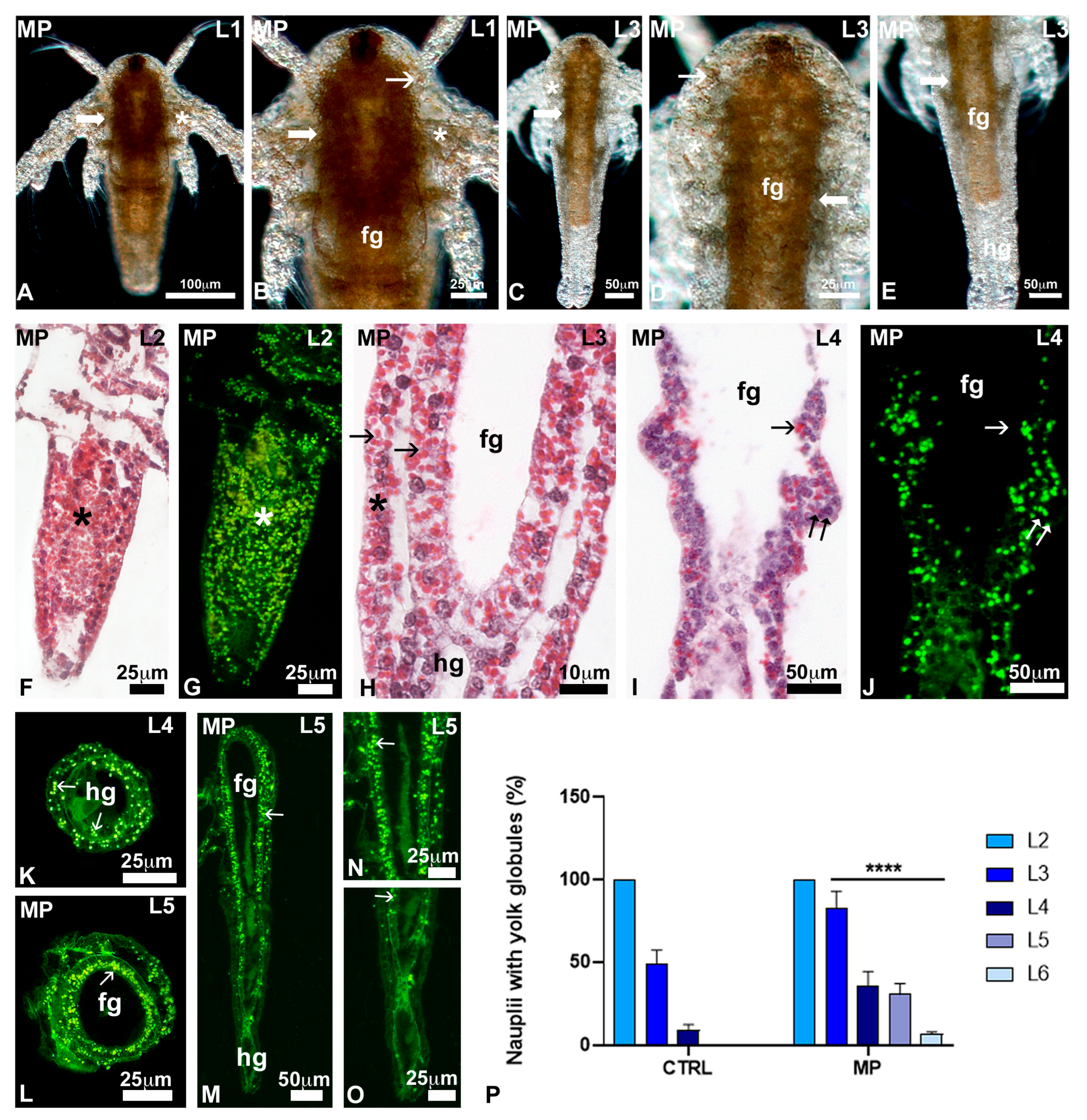 Toxics 13 00700 g005 Toxics 13 00700 g005