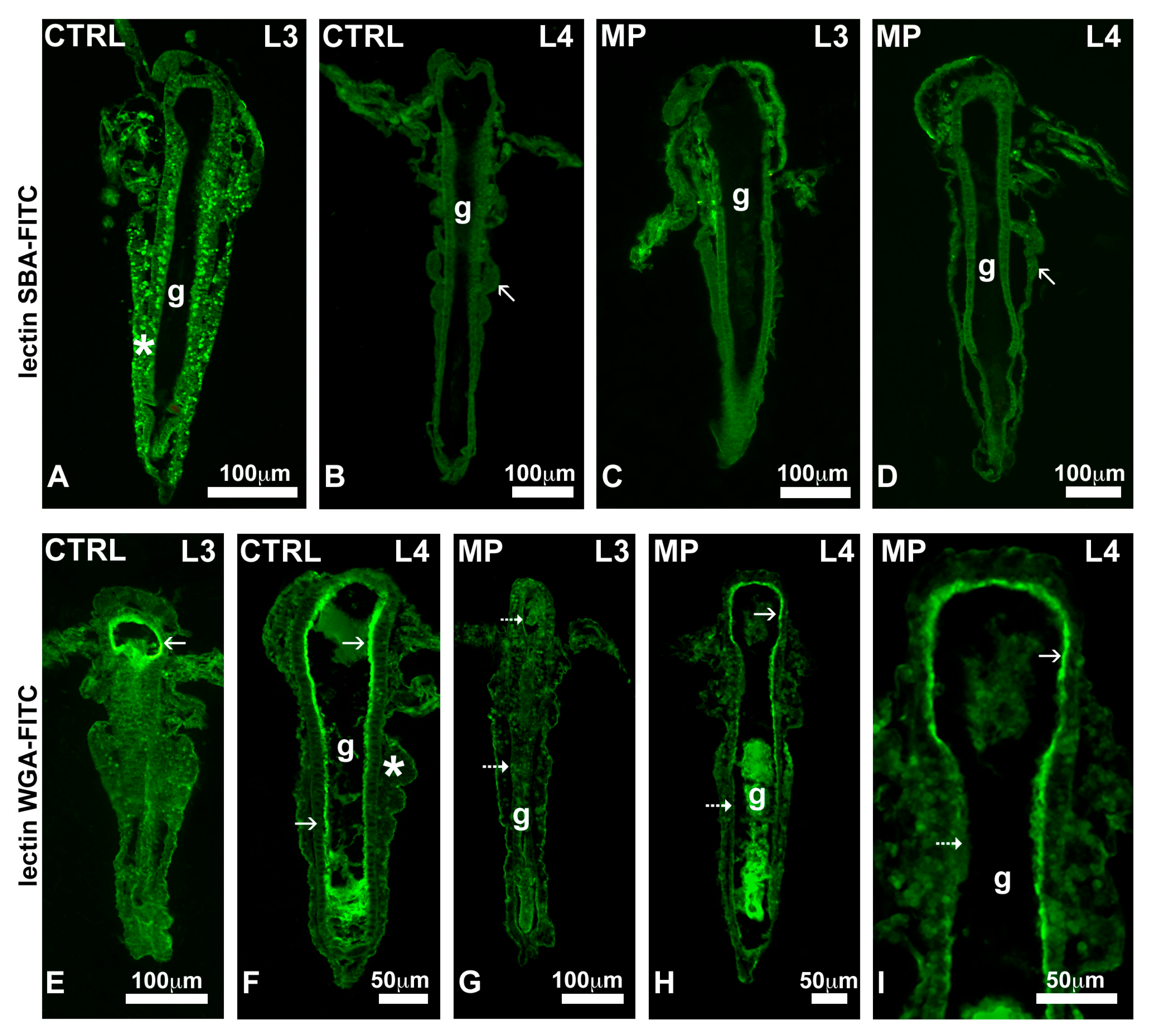 Toxics 13 00700 g006 Toxics 13 00700 g006