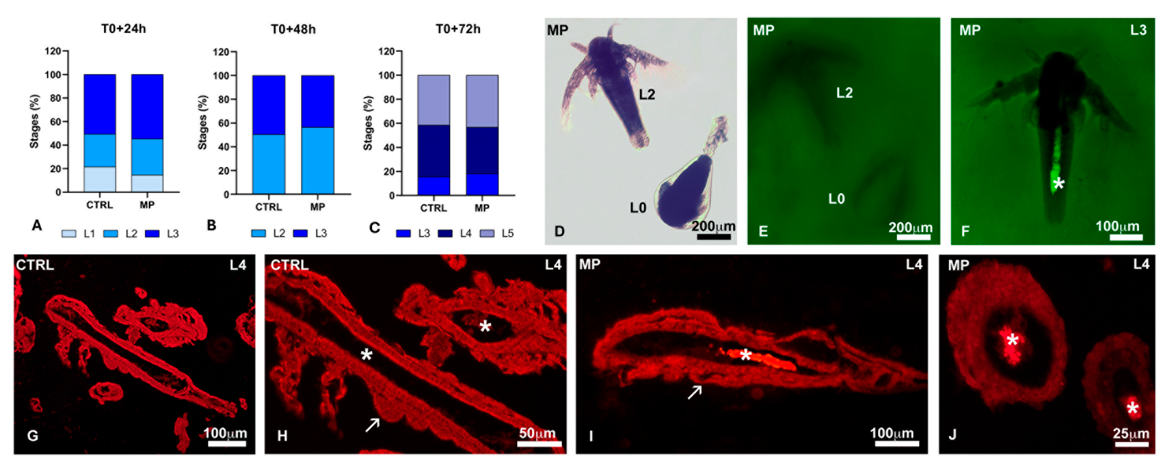 Toxics 13 00700 g007 Toxics 13 00700 g007