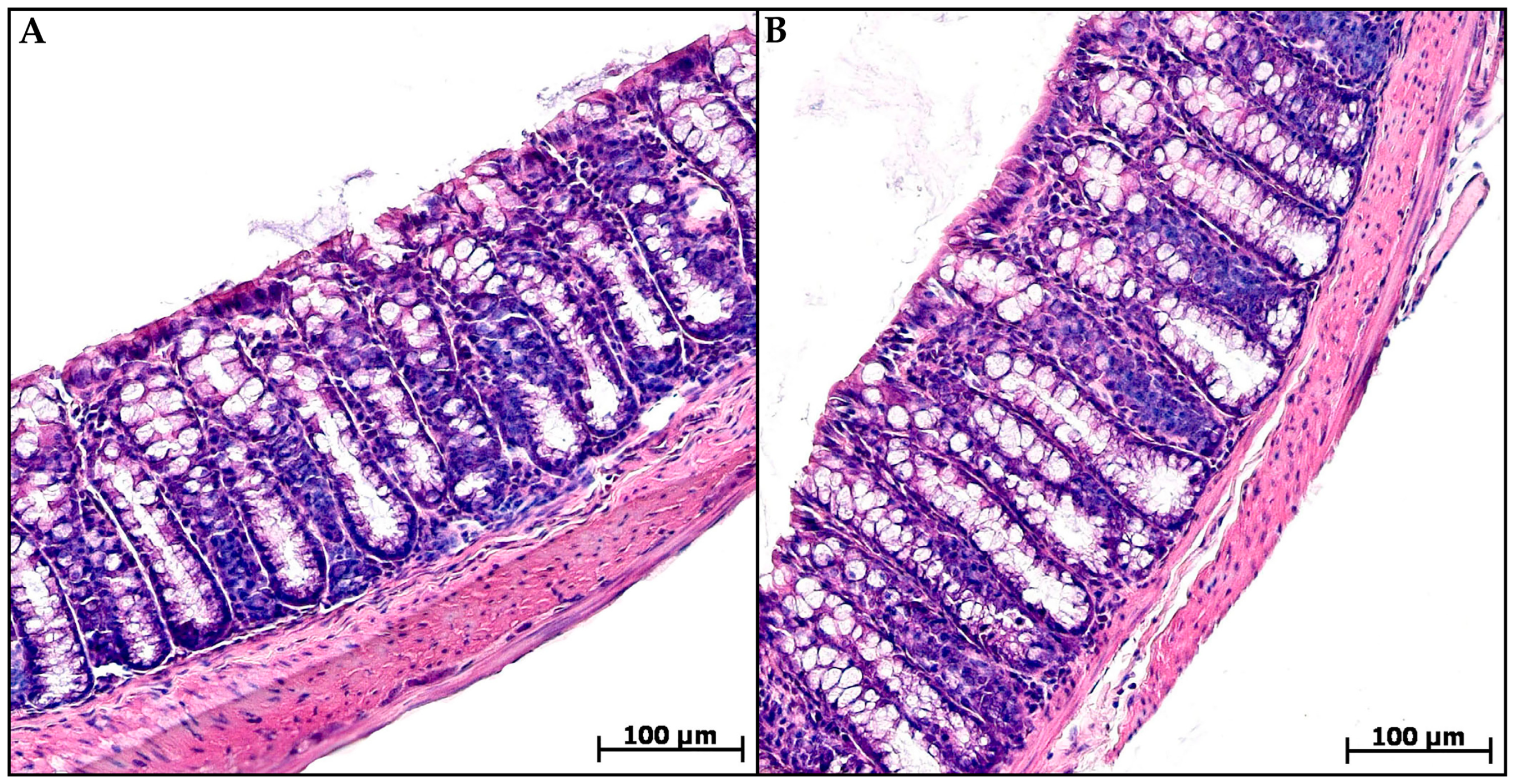 Toxics 13 00701 g002 Toxics 13 00701 g002