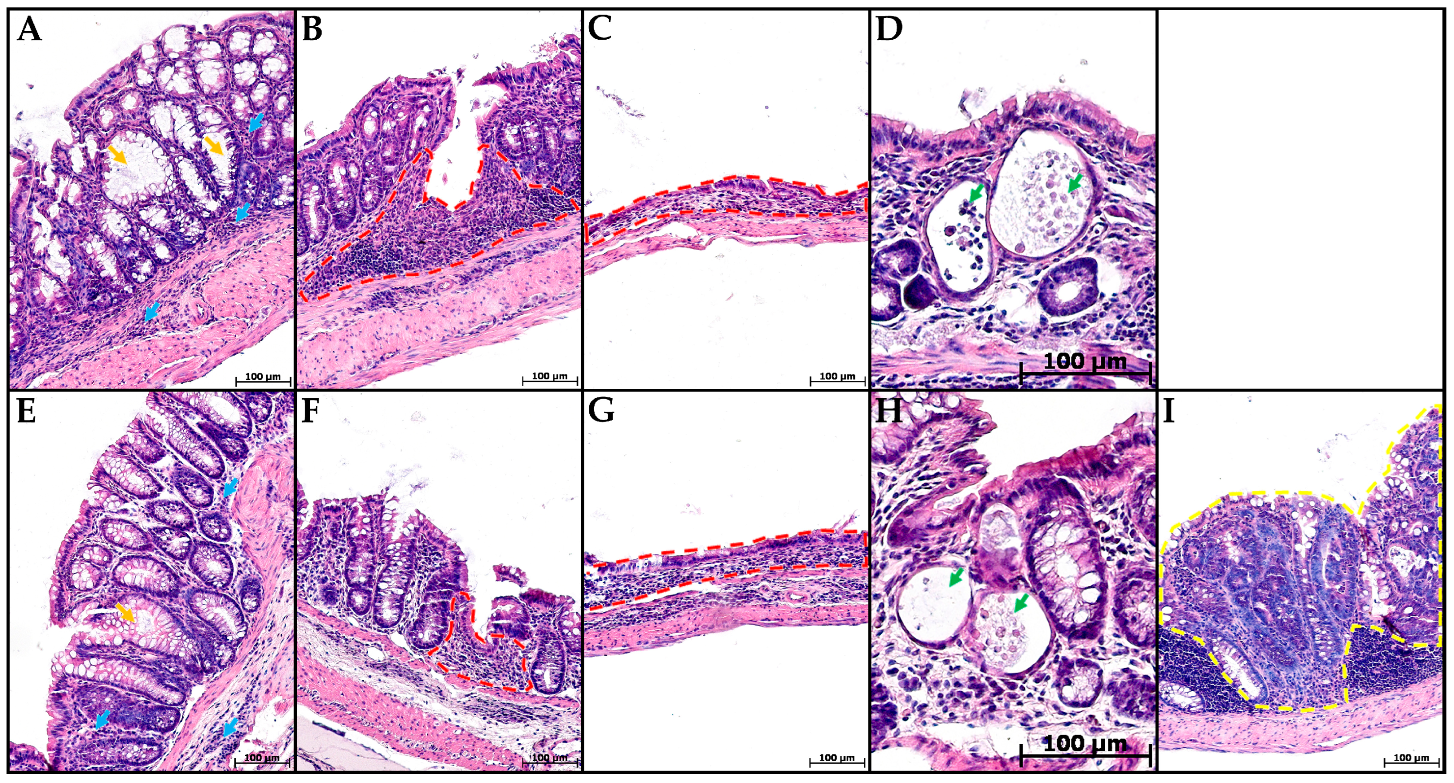 Toxics 13 00701 g003 Toxics 13 00701 g003