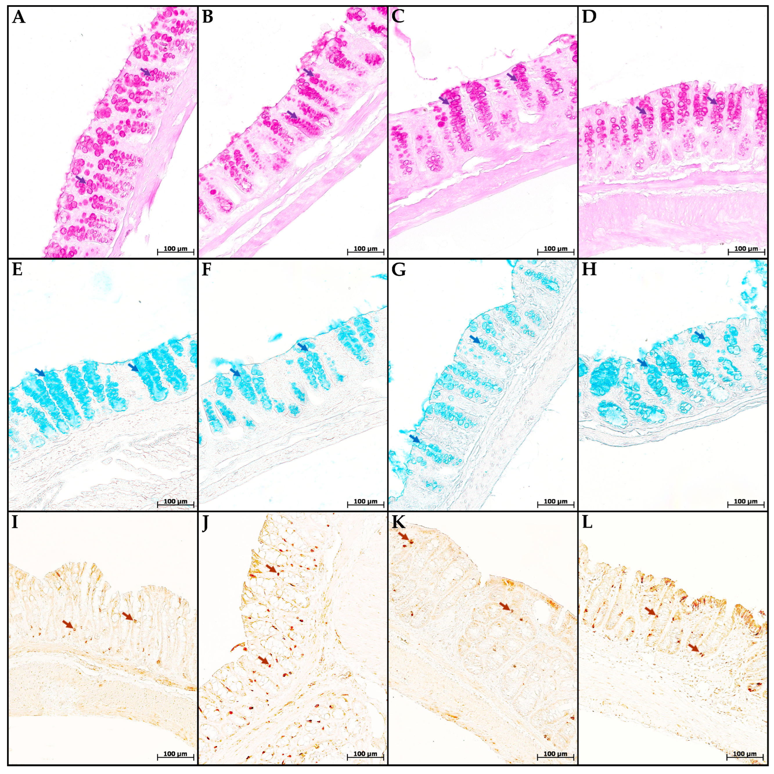Toxics 13 00701 g004 Toxics 13 00701 g004