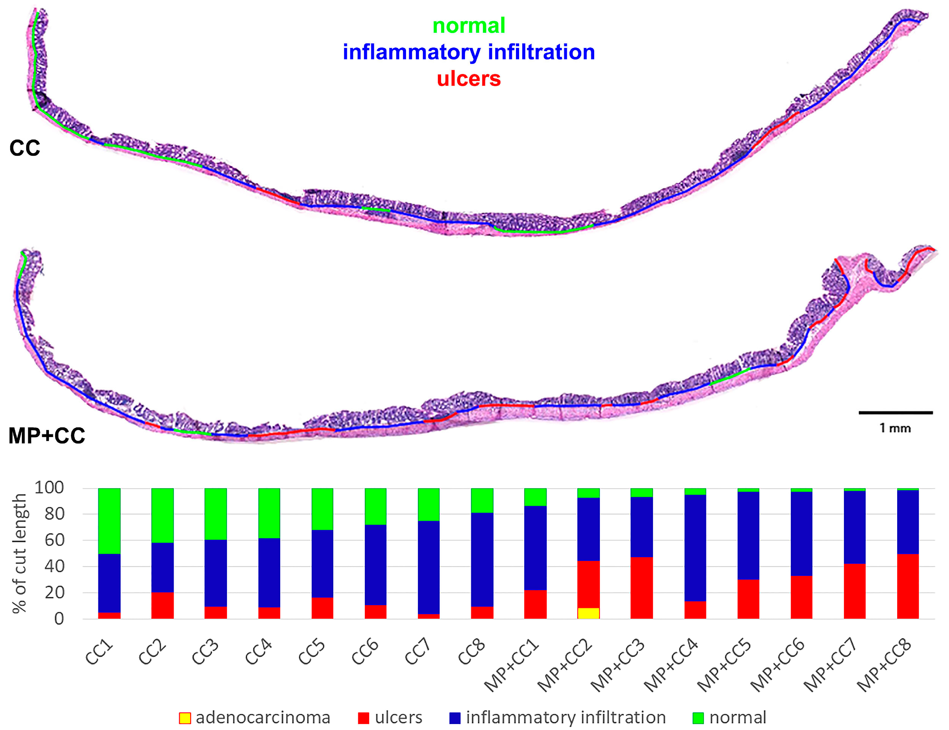 Toxics 13 00701 g006 Toxics 13 00701 g006