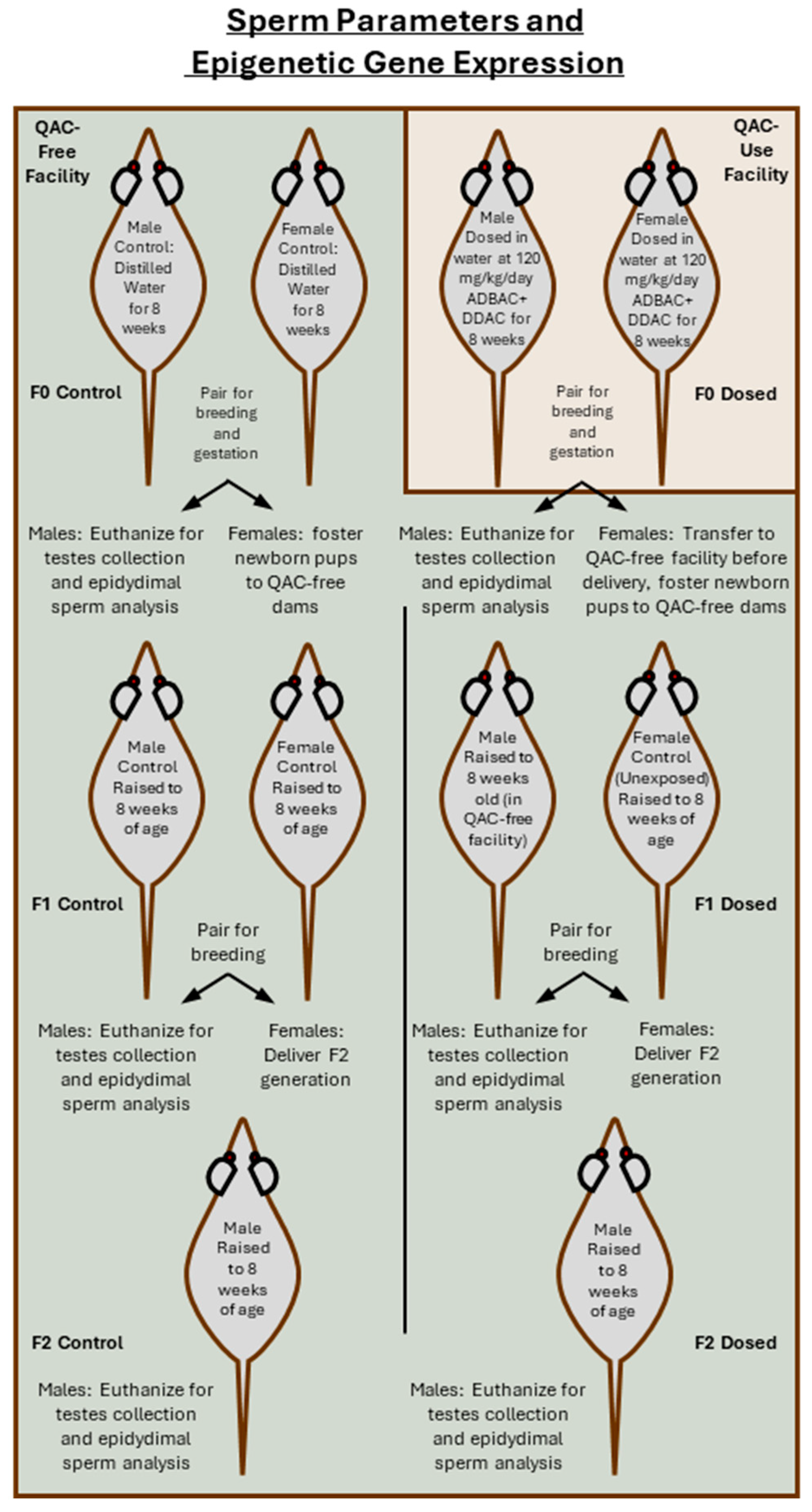 Toxics 13 00709 g002