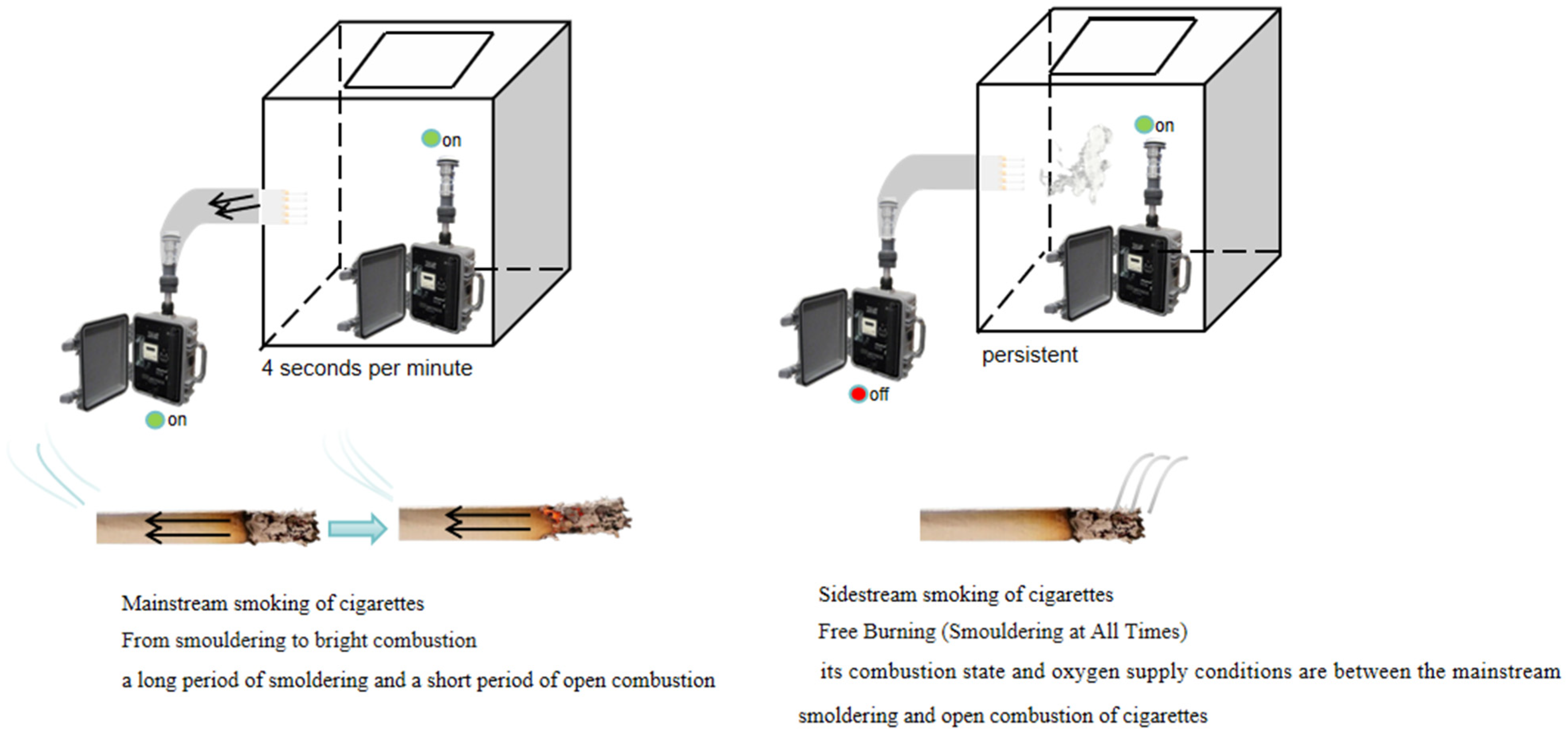 Toxics 13 00711 g001 Toxics 13 00711 g001