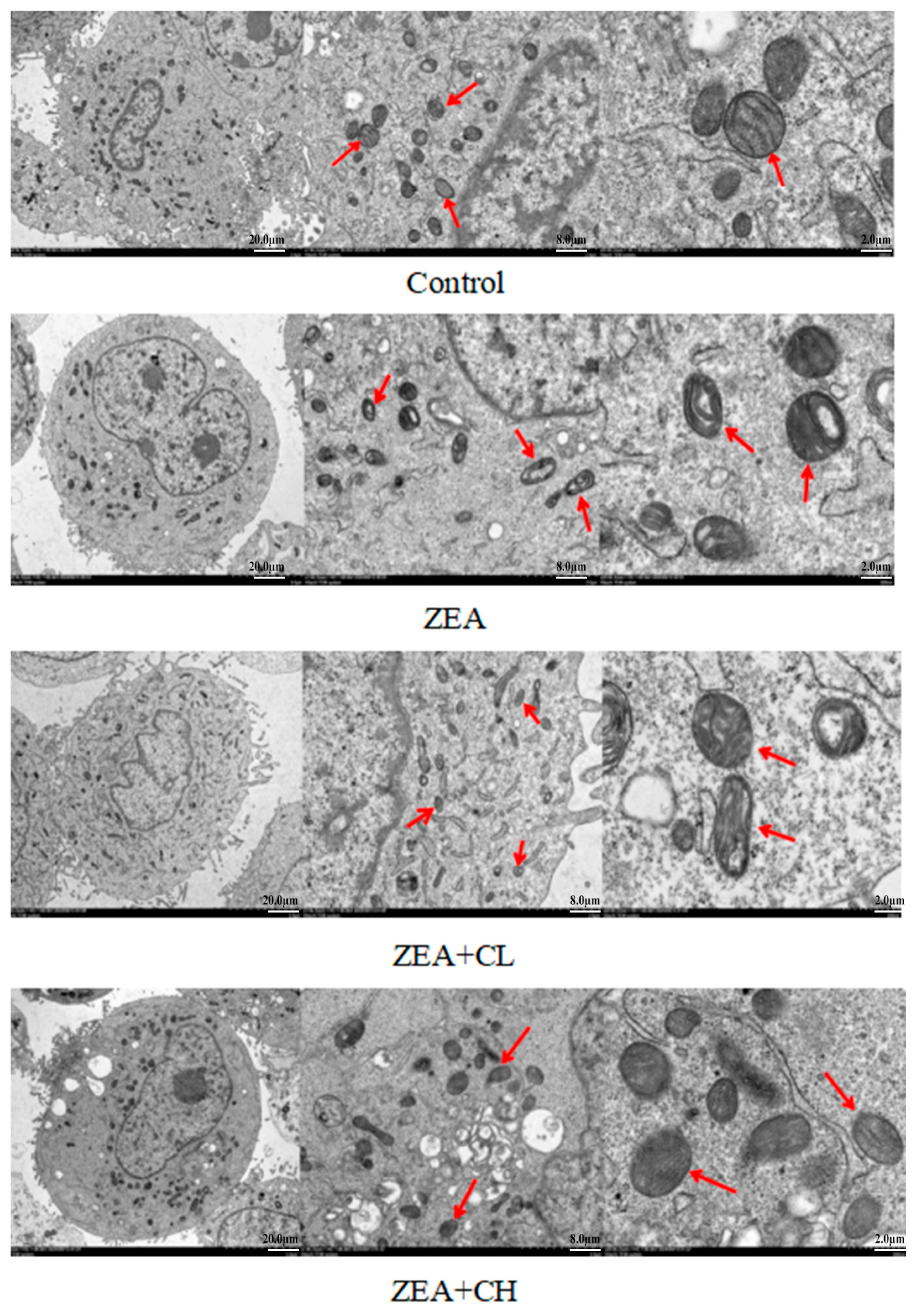 Toxics 13 00713 g004