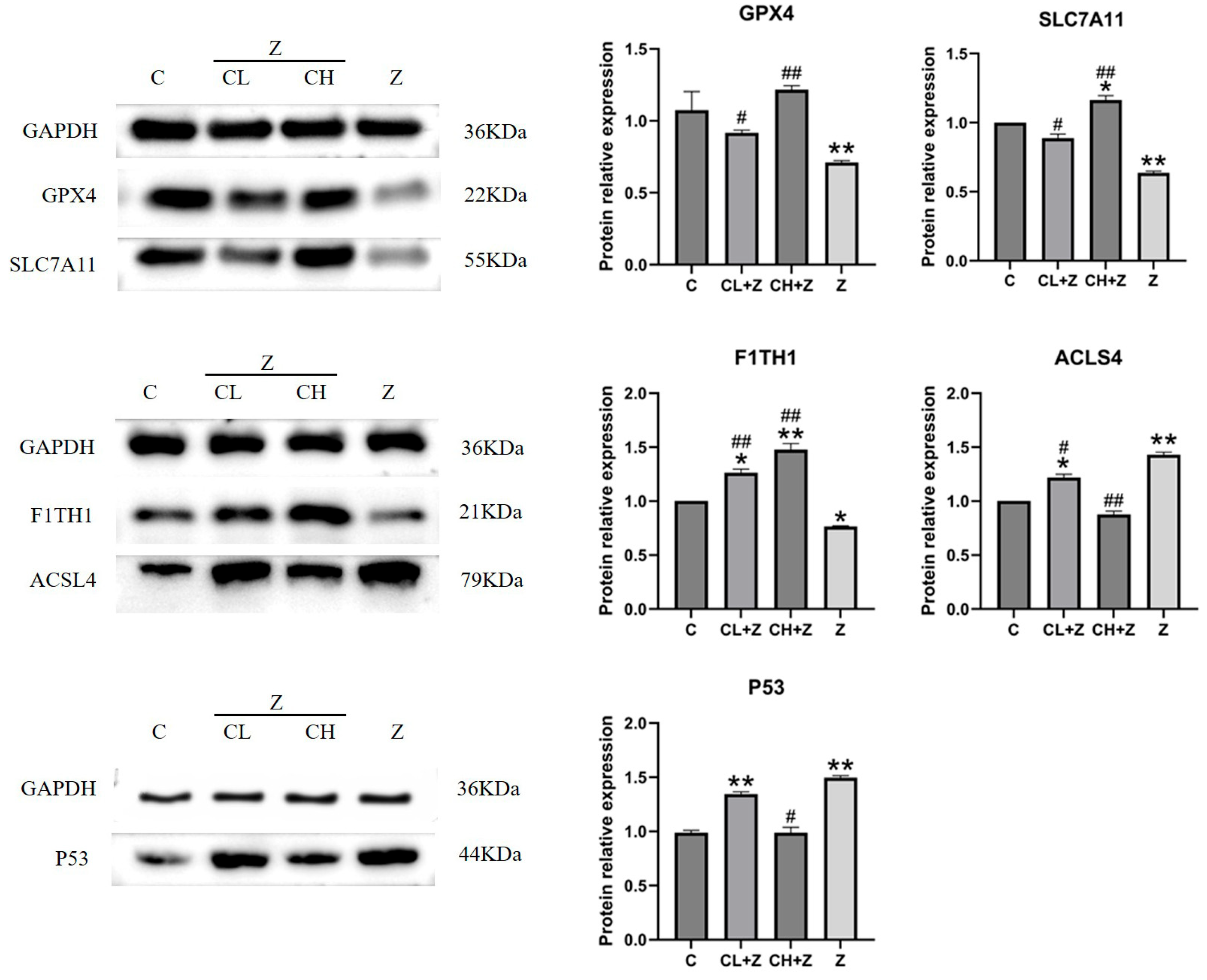 Toxics 13 00713 g006