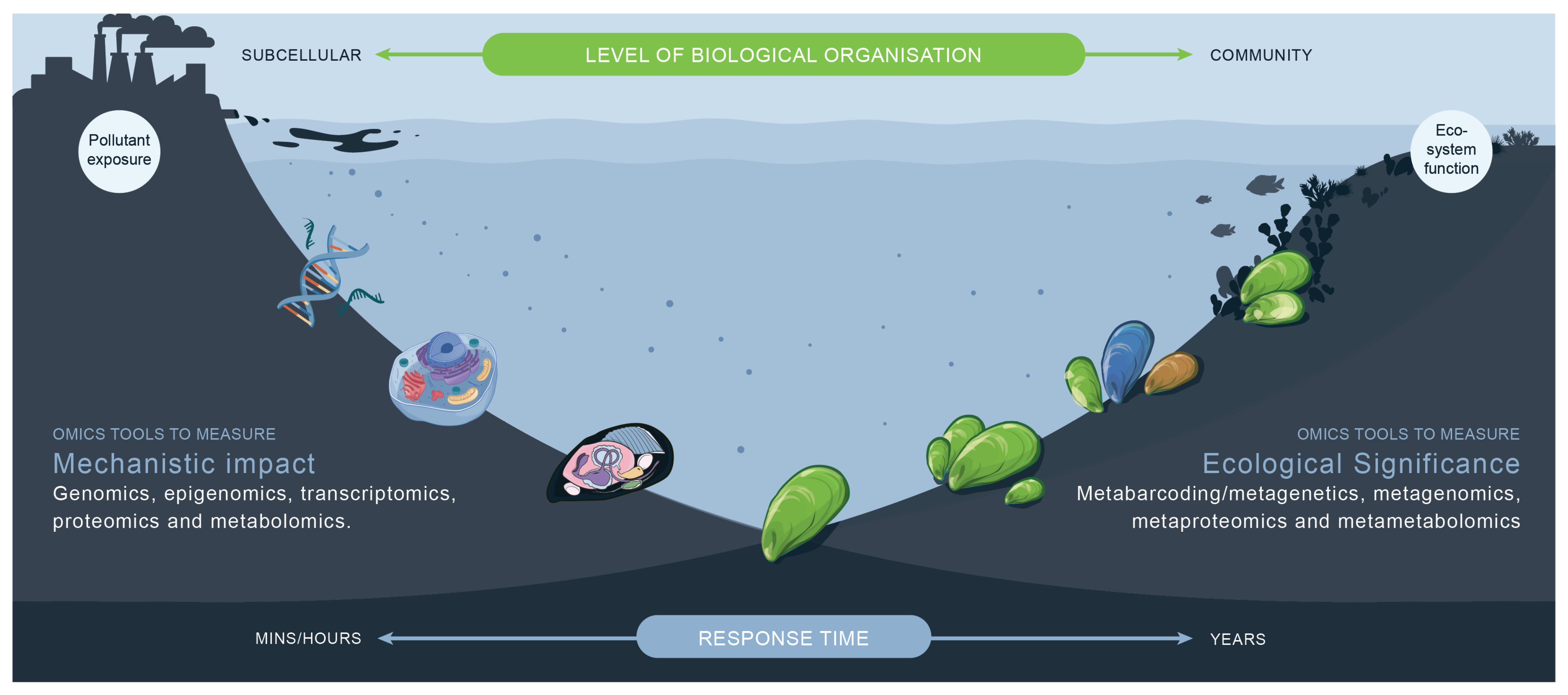 Toxics 13 00714 g001 Toxics 13 00714 g001