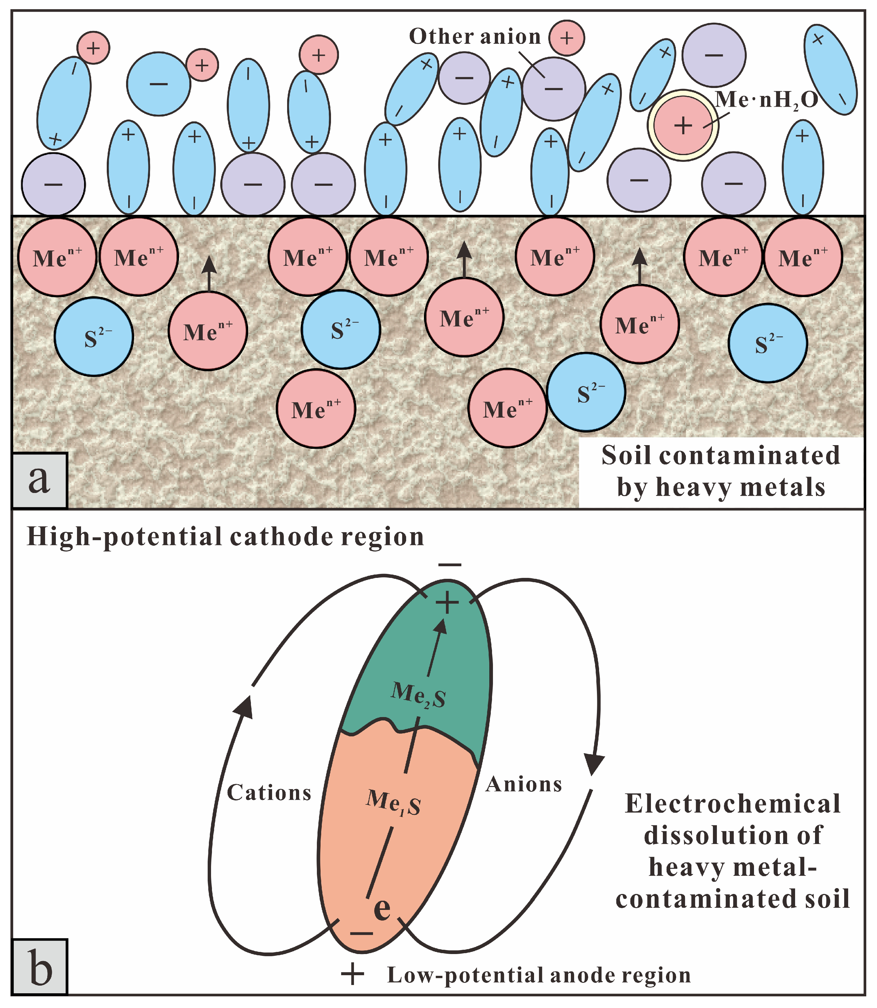 Toxics 13 00728 g008