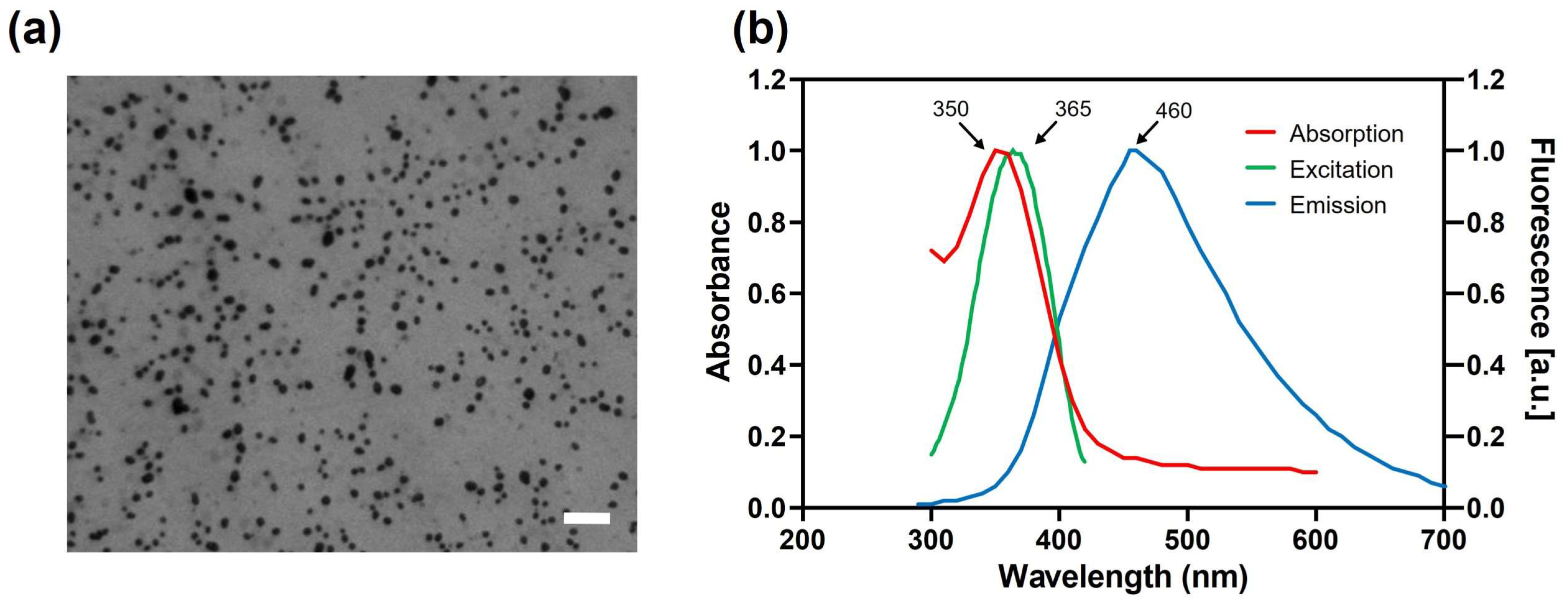 Toxics 13 00731 g001