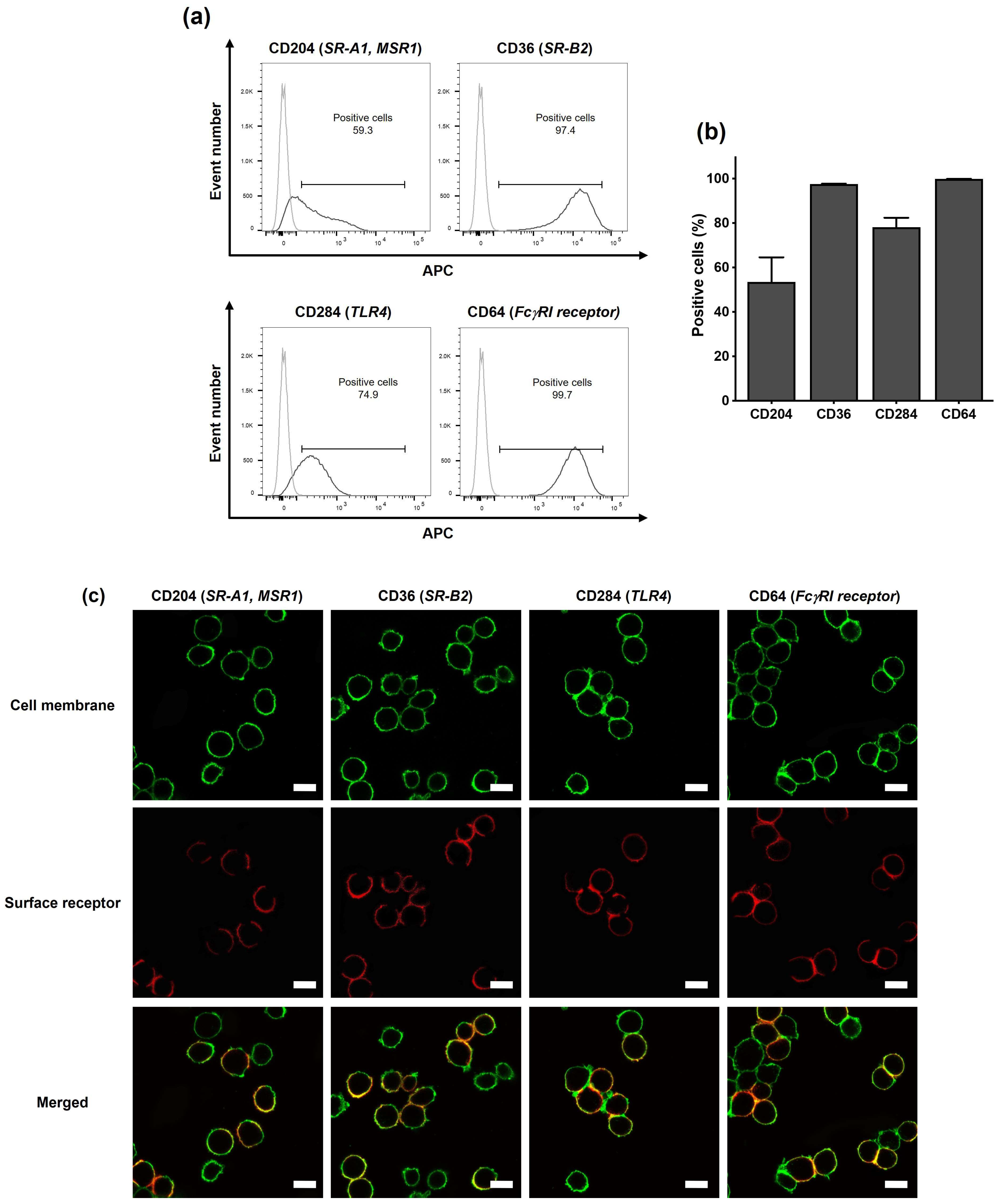 Toxics 13 00731 g002