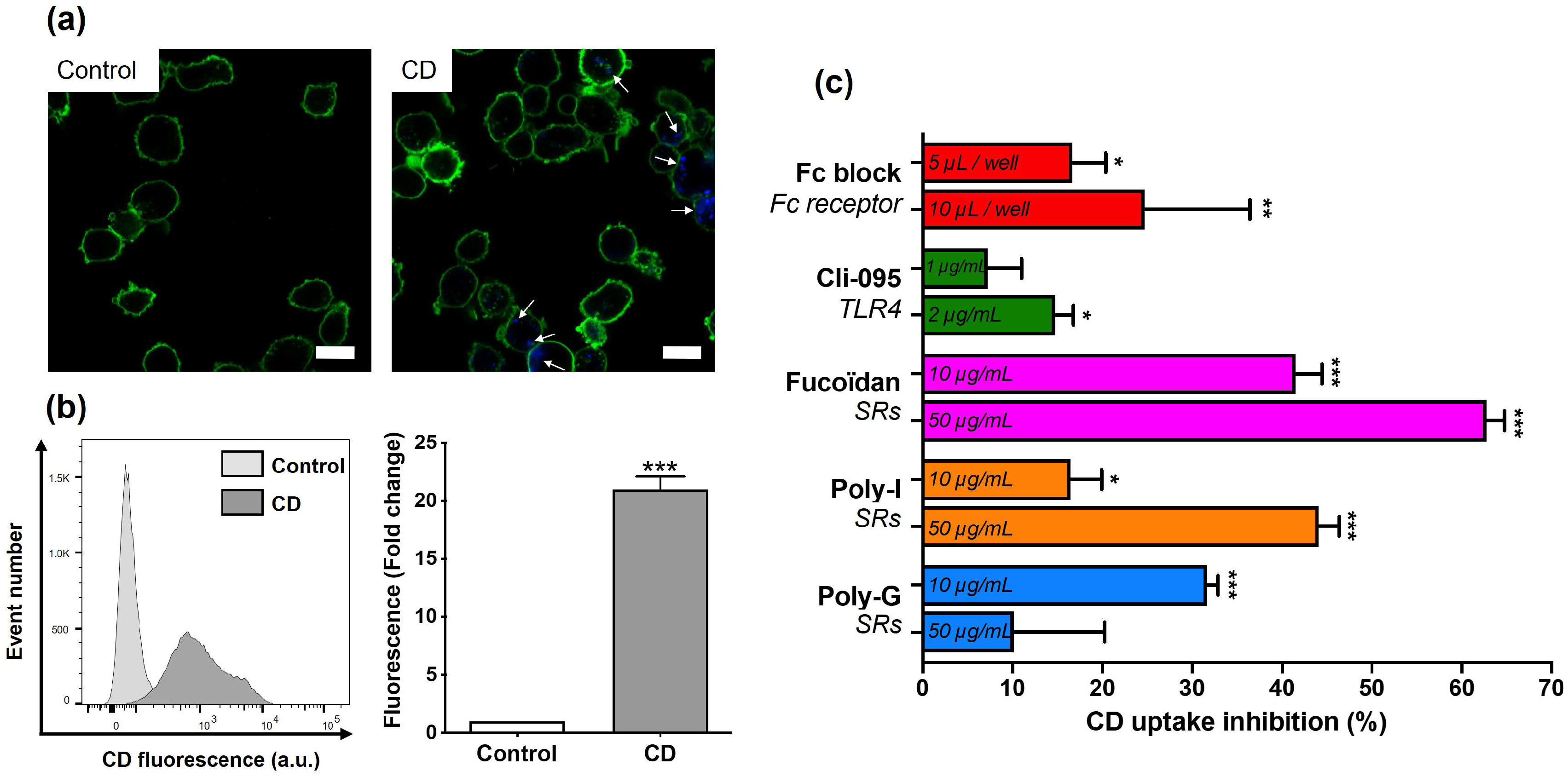 Toxics 13 00731 g003