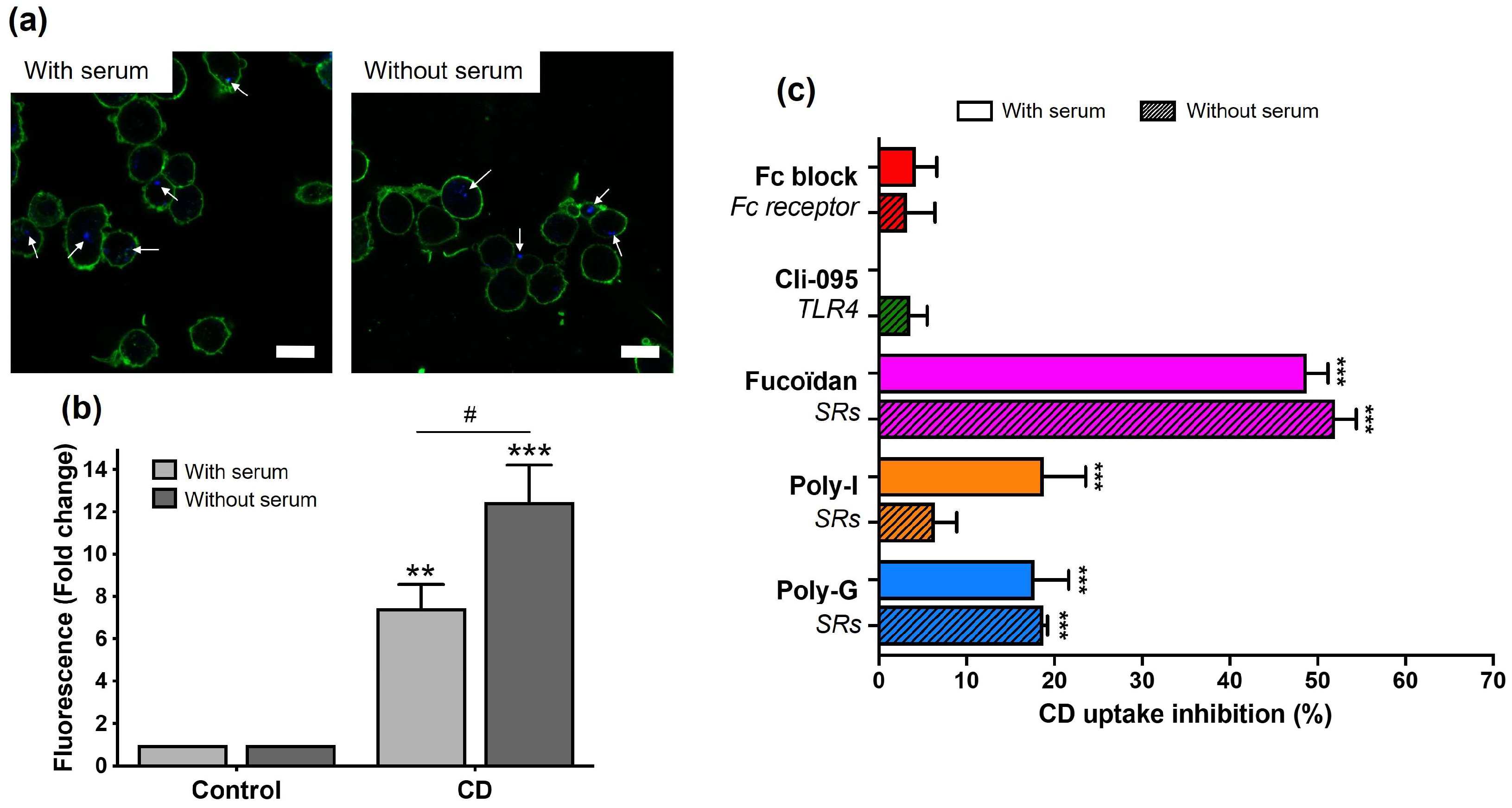 Toxics 13 00731 g007
