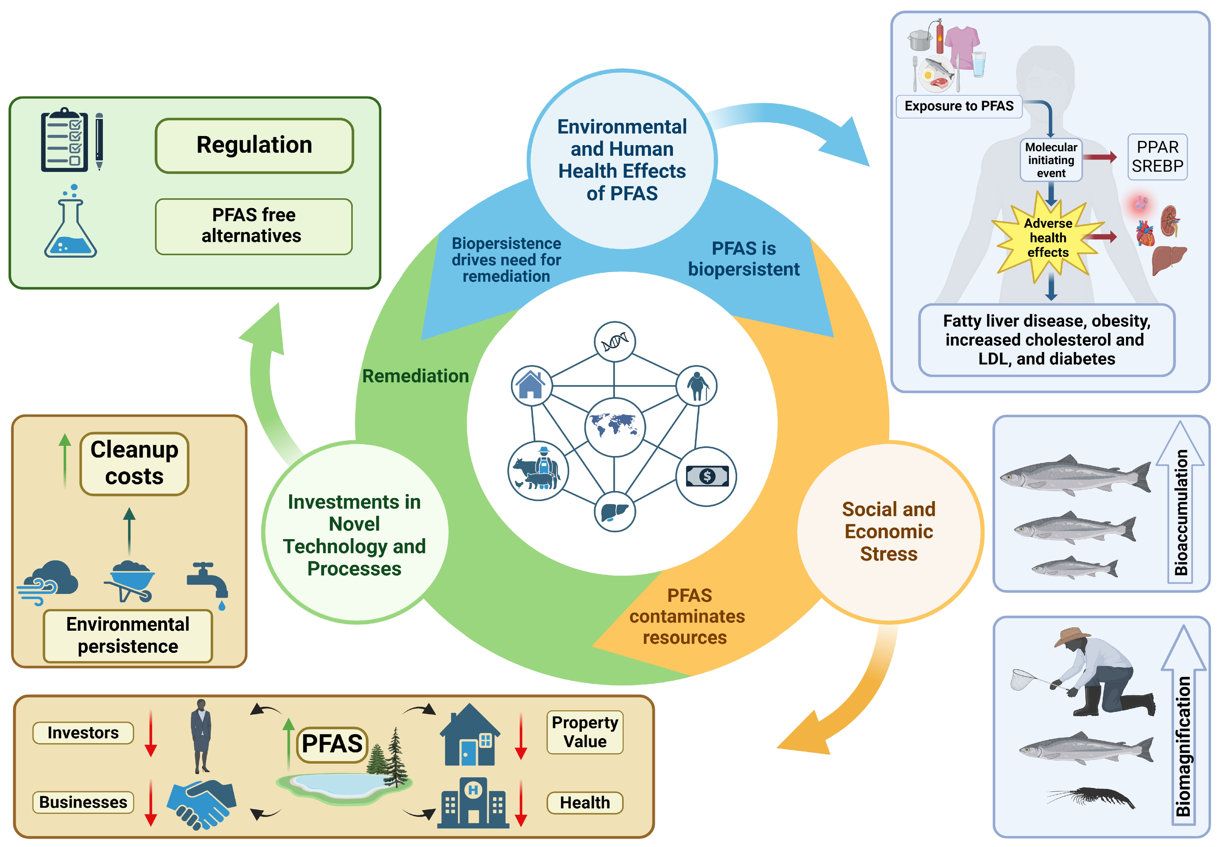 Toxics 13 00732 g001