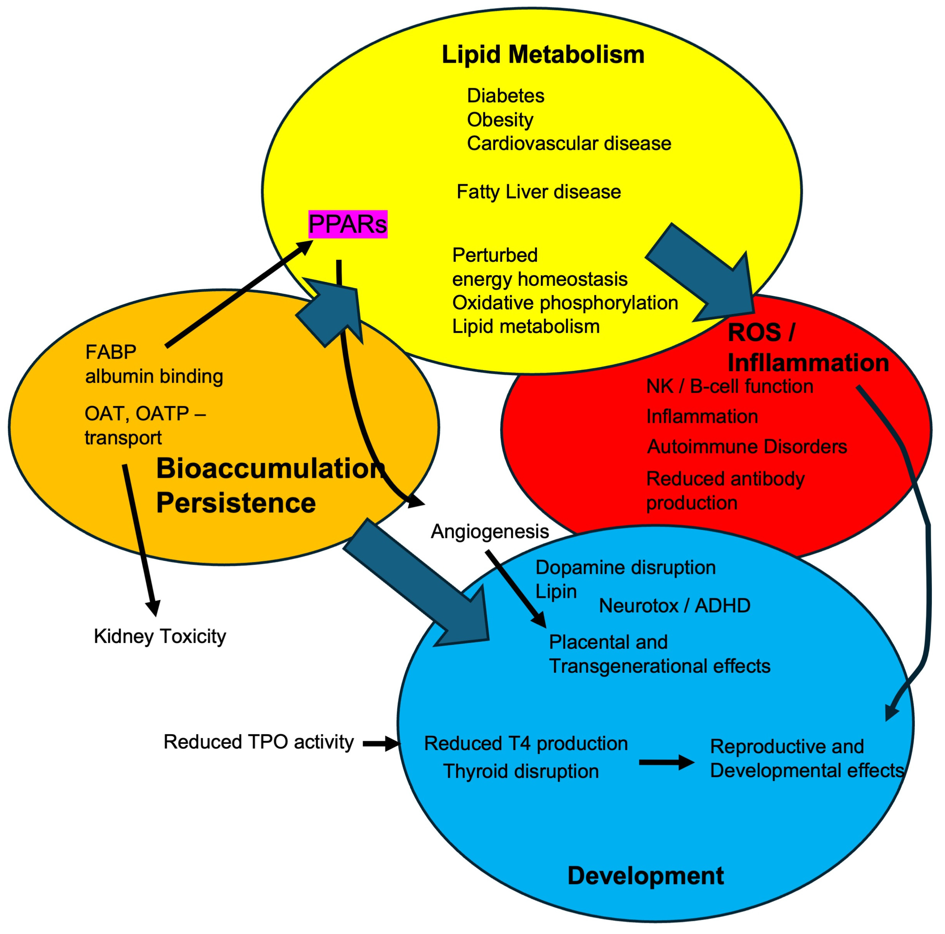 Toxics 13 00732 g003