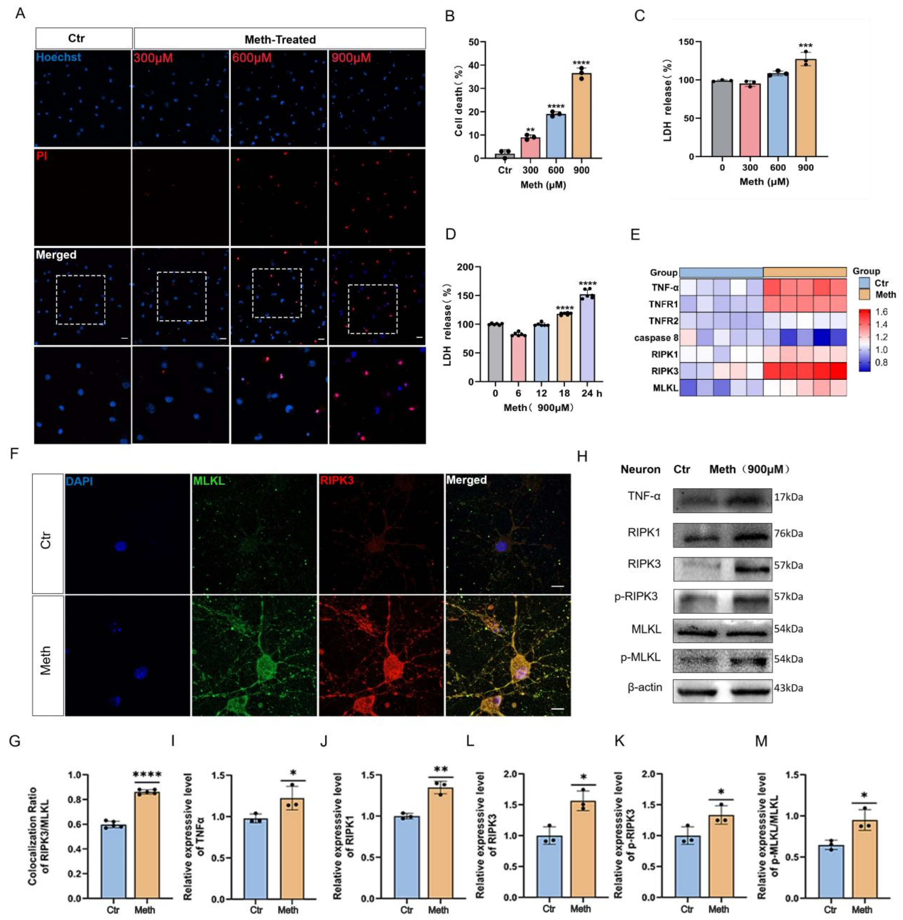 Toxics 13 00736 g001 Toxics 13 00736 g001