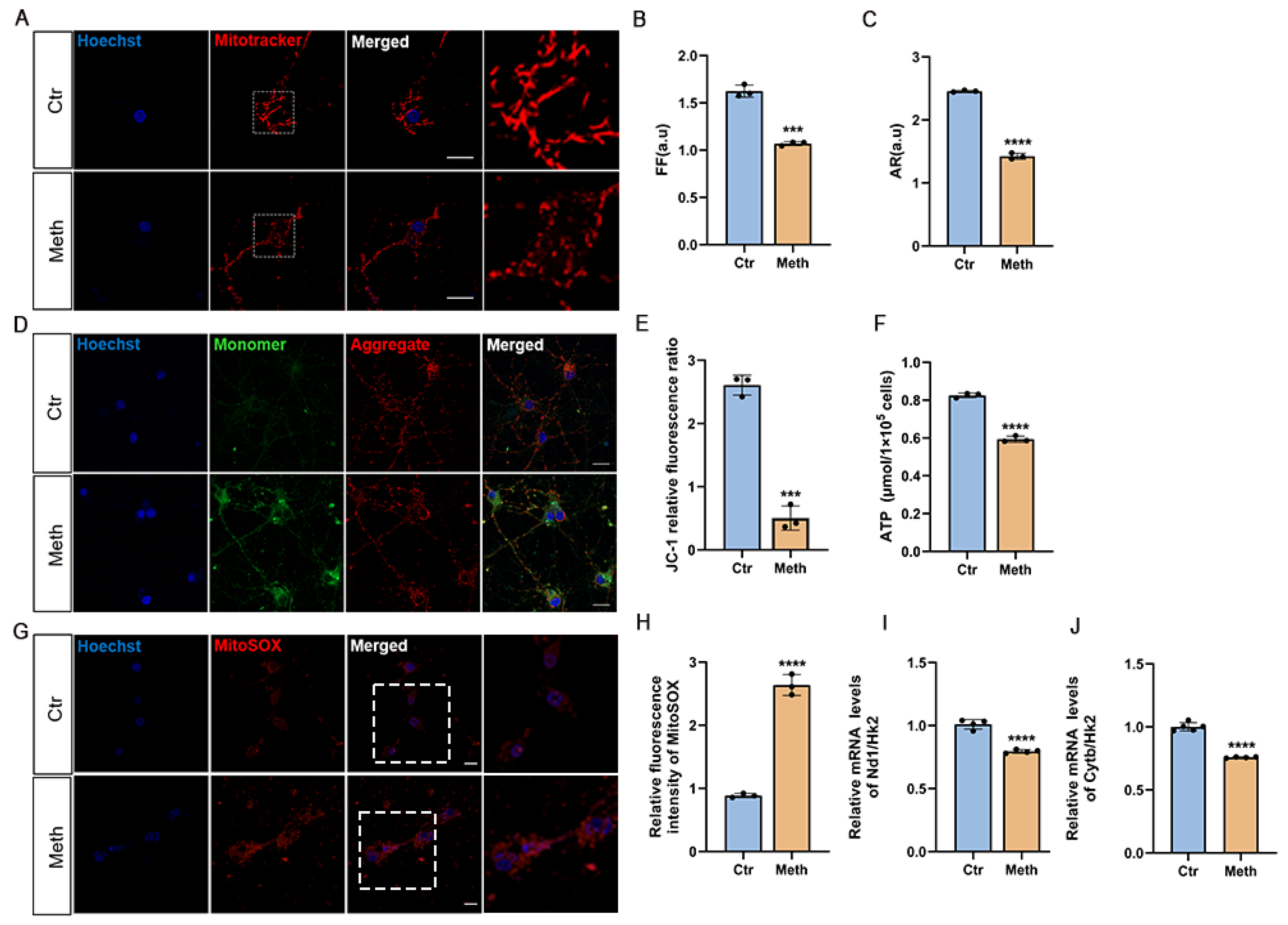 Toxics 13 00736 g002 Toxics 13 00736 g002