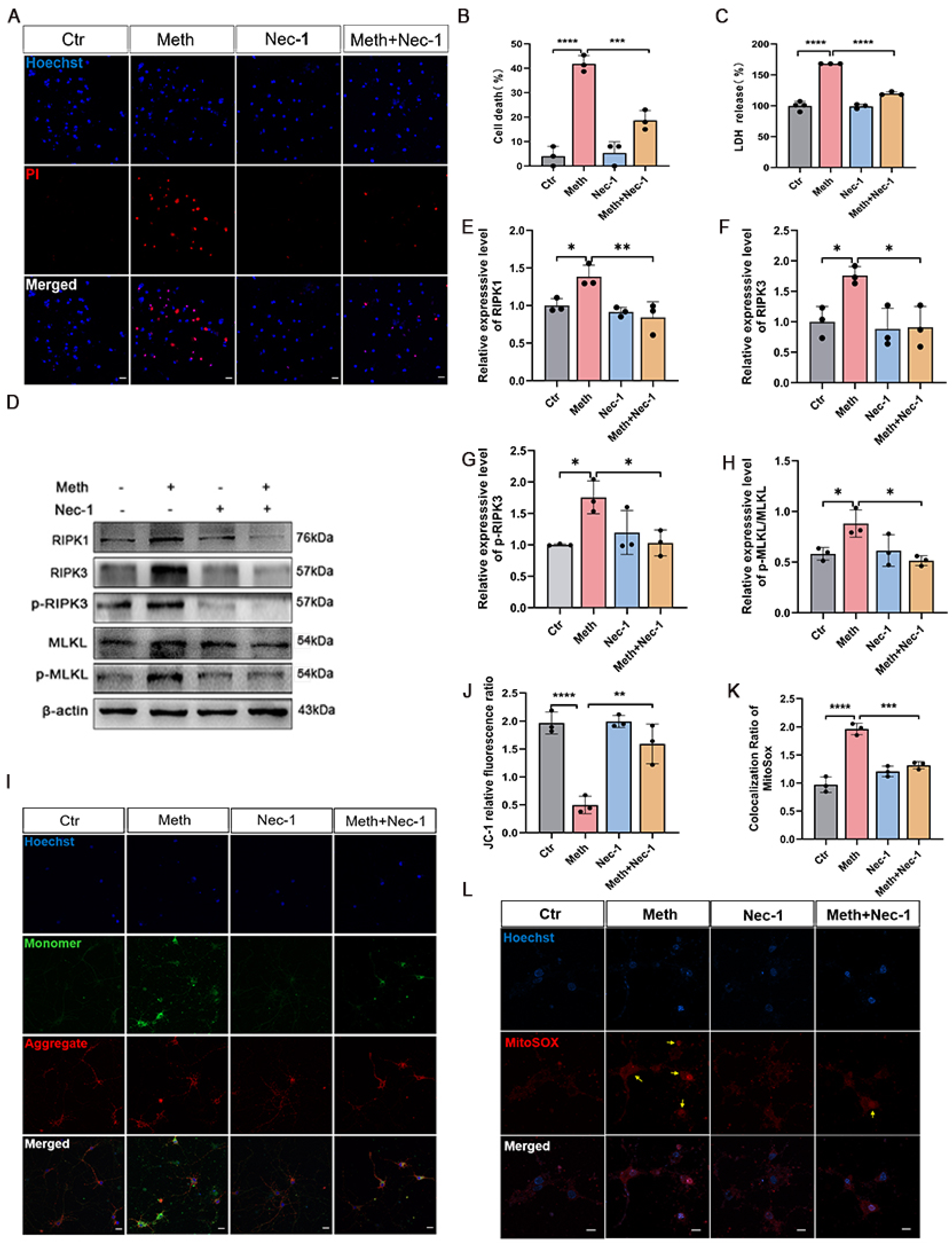 Toxics 13 00736 g003 Toxics 13 00736 g003