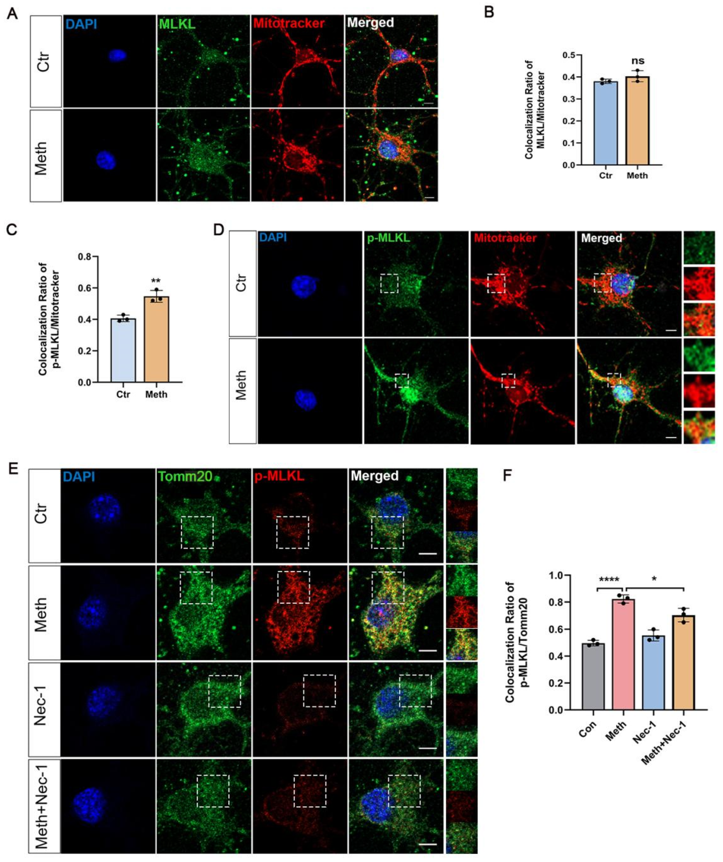 Toxics 13 00736 g004 Toxics 13 00736 g004
