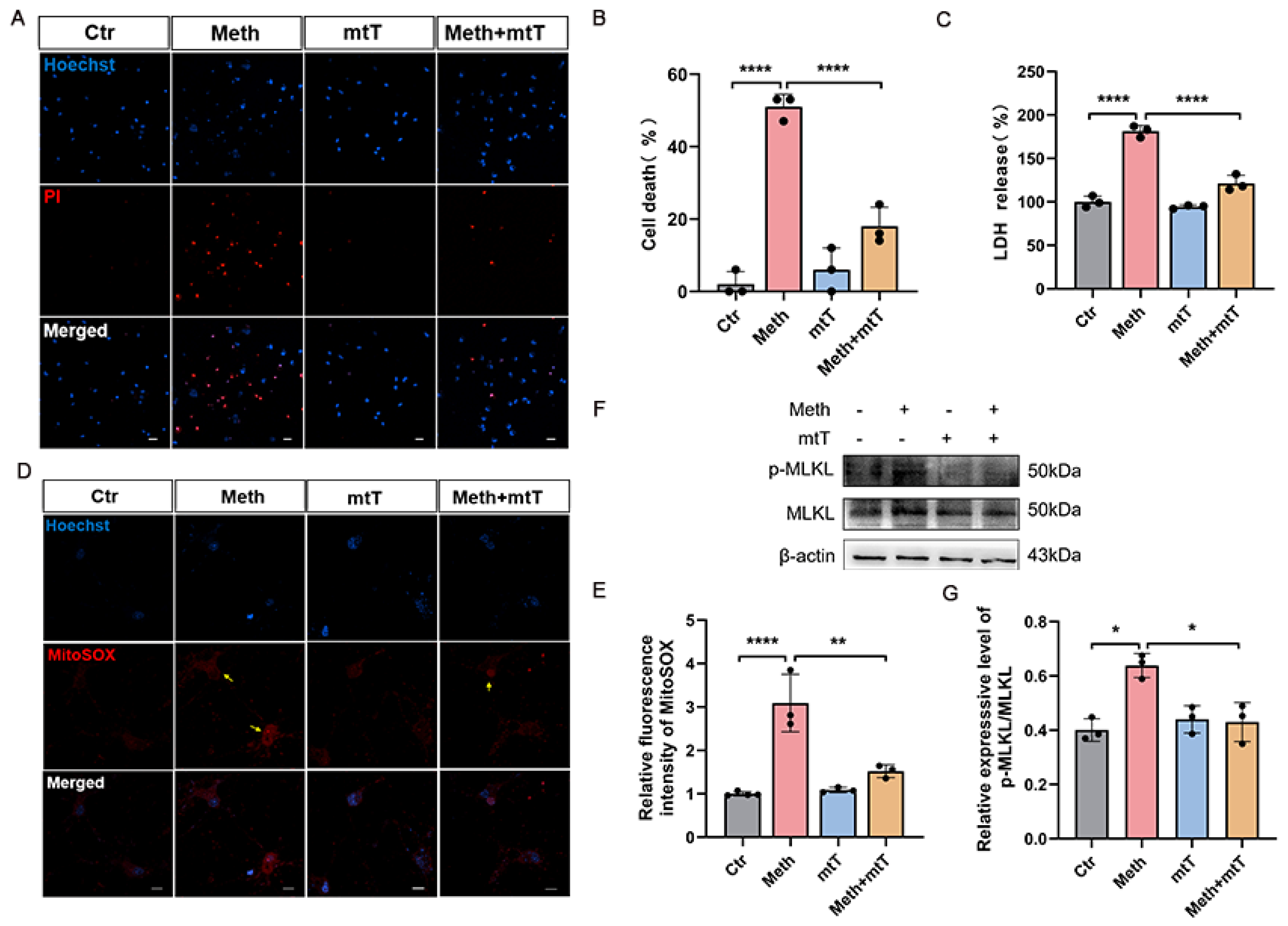Toxics 13 00736 g005 Toxics 13 00736 g005
