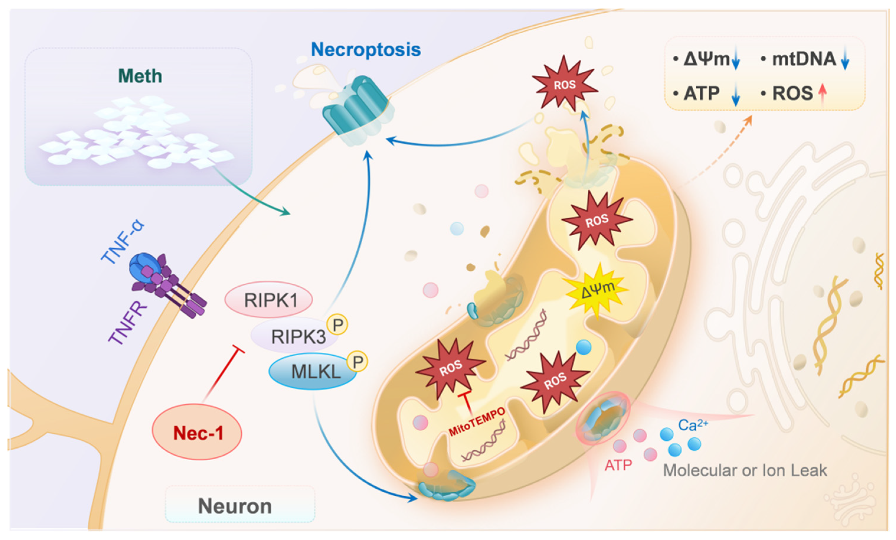 Toxics 13 00736 g006 Toxics 13 00736 g006