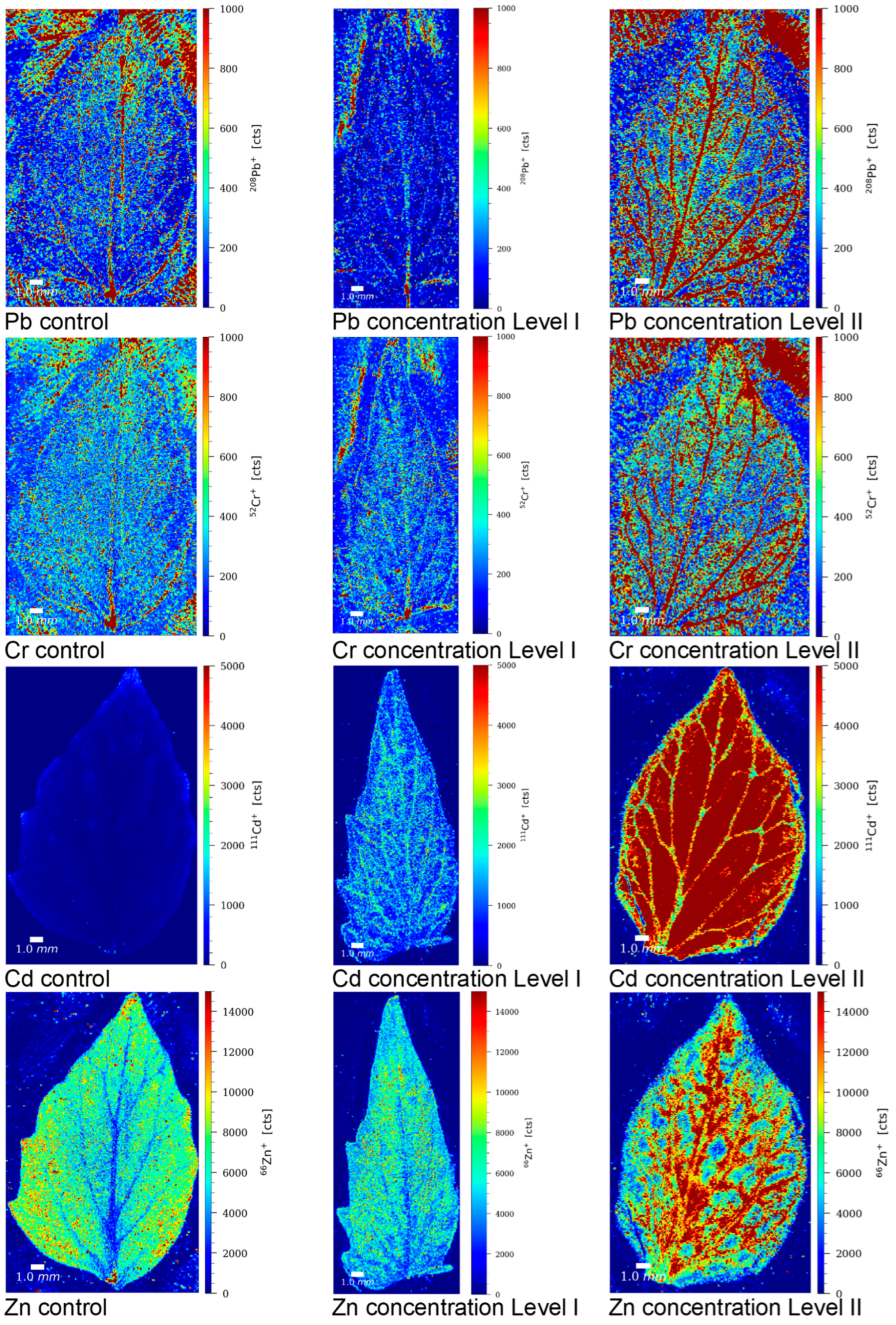 Toxics 13 00738 g004
