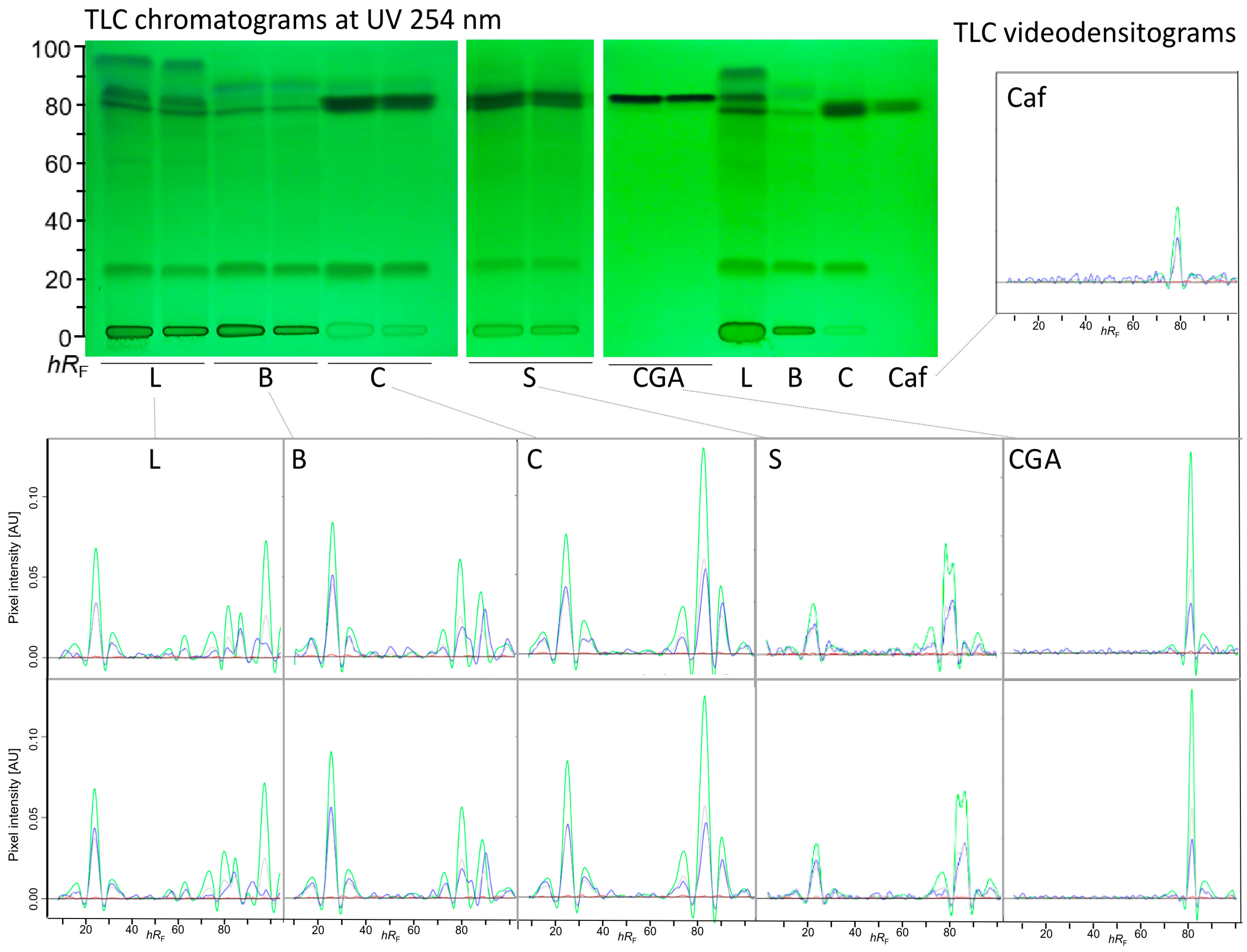 Toxics 13 00739 g001