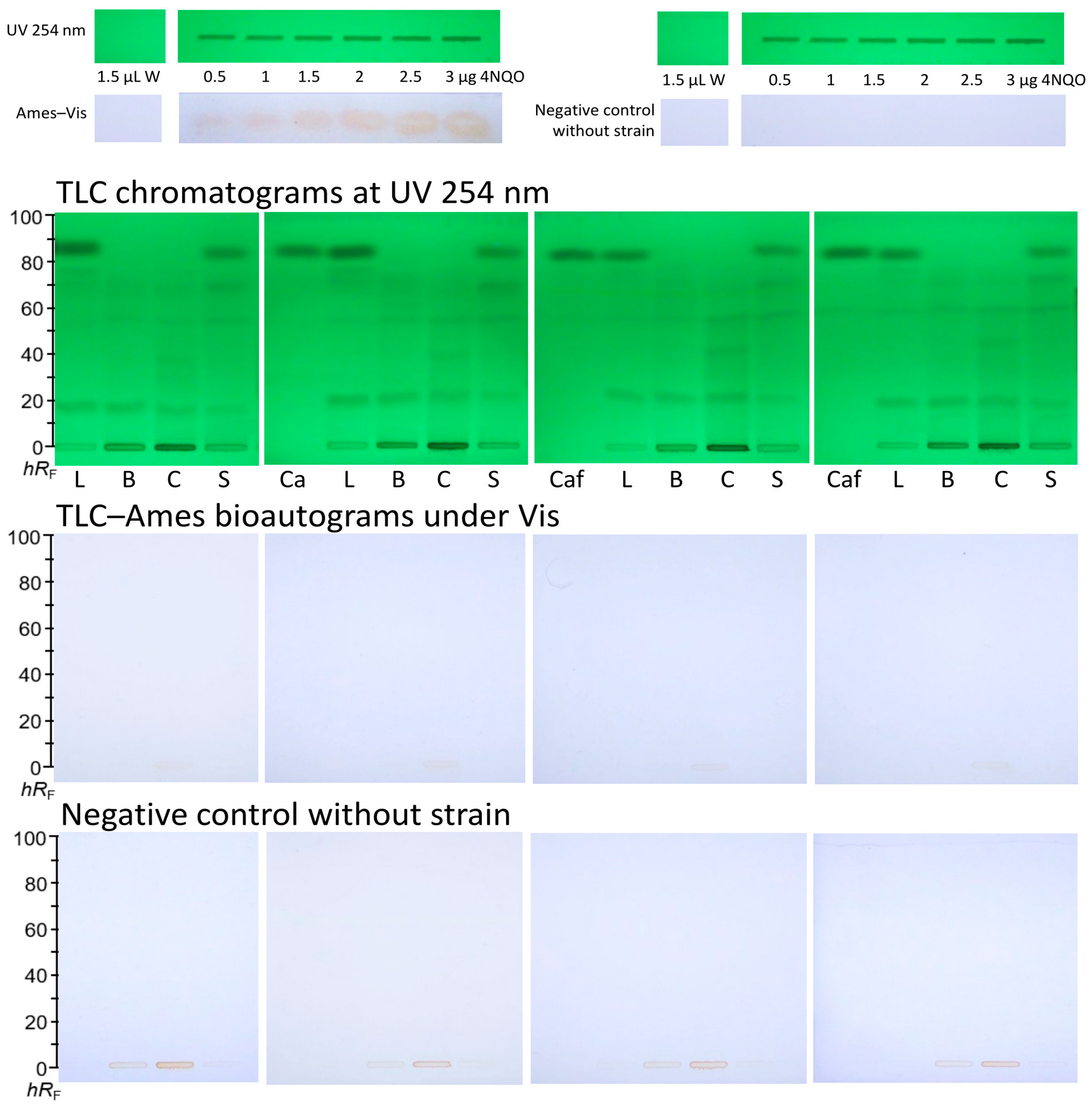 Toxics 13 00739 g002