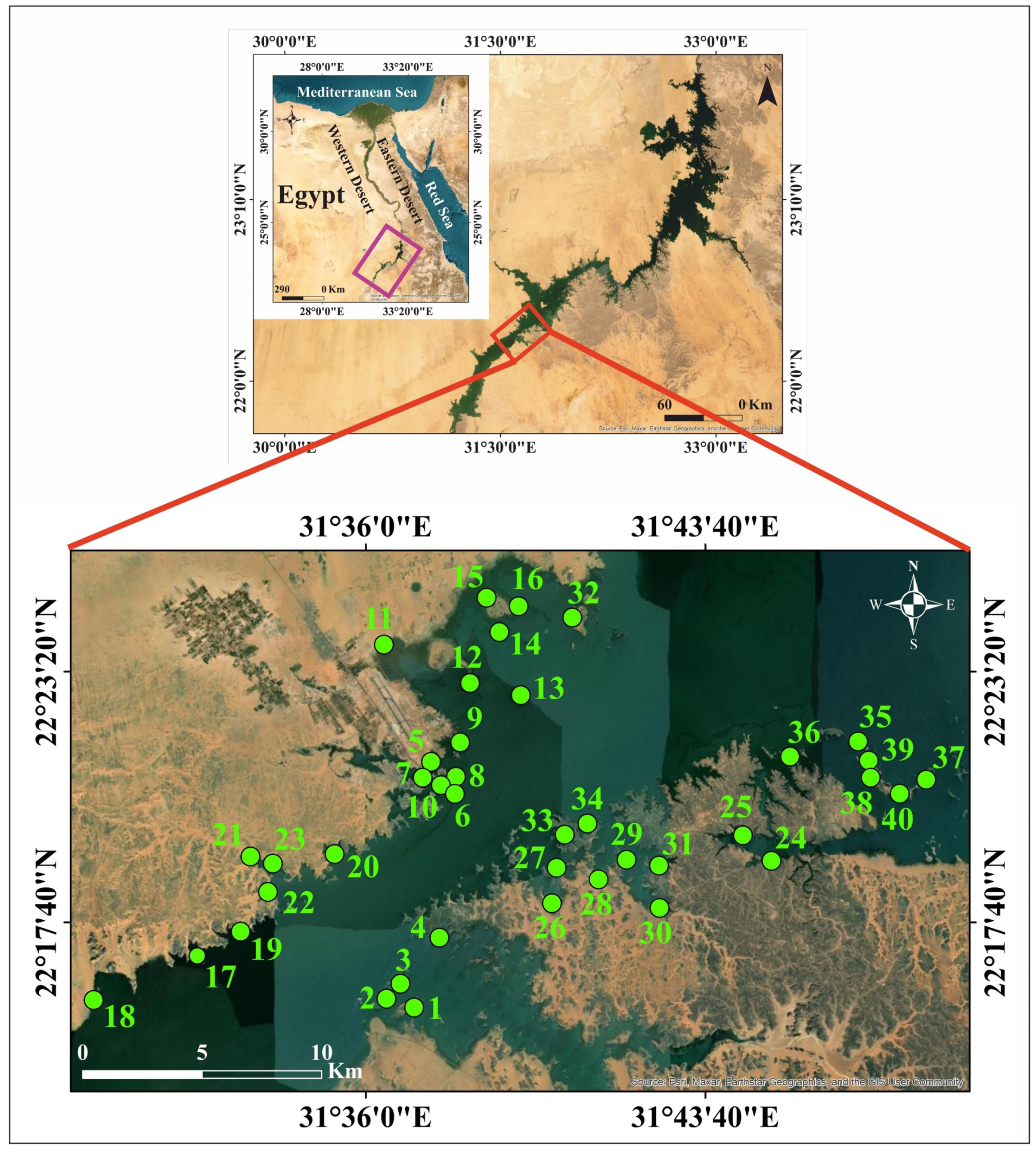 Toxics 13 00745 g001 Toxics 13 00745 g001
