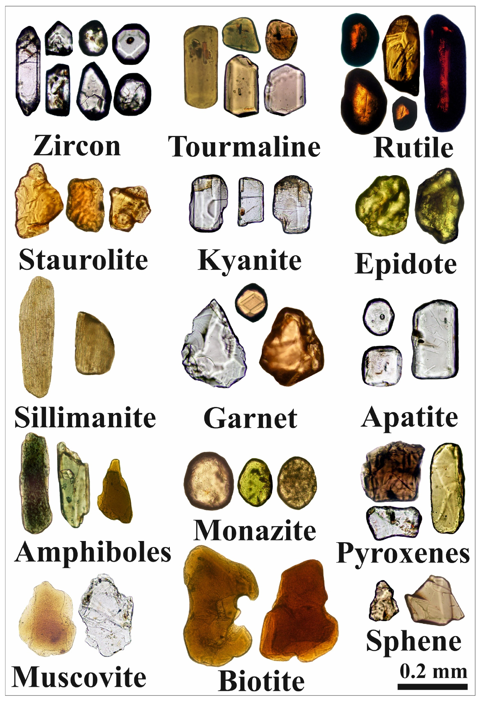 Toxics 13 00745 g002 Toxics 13 00745 g002