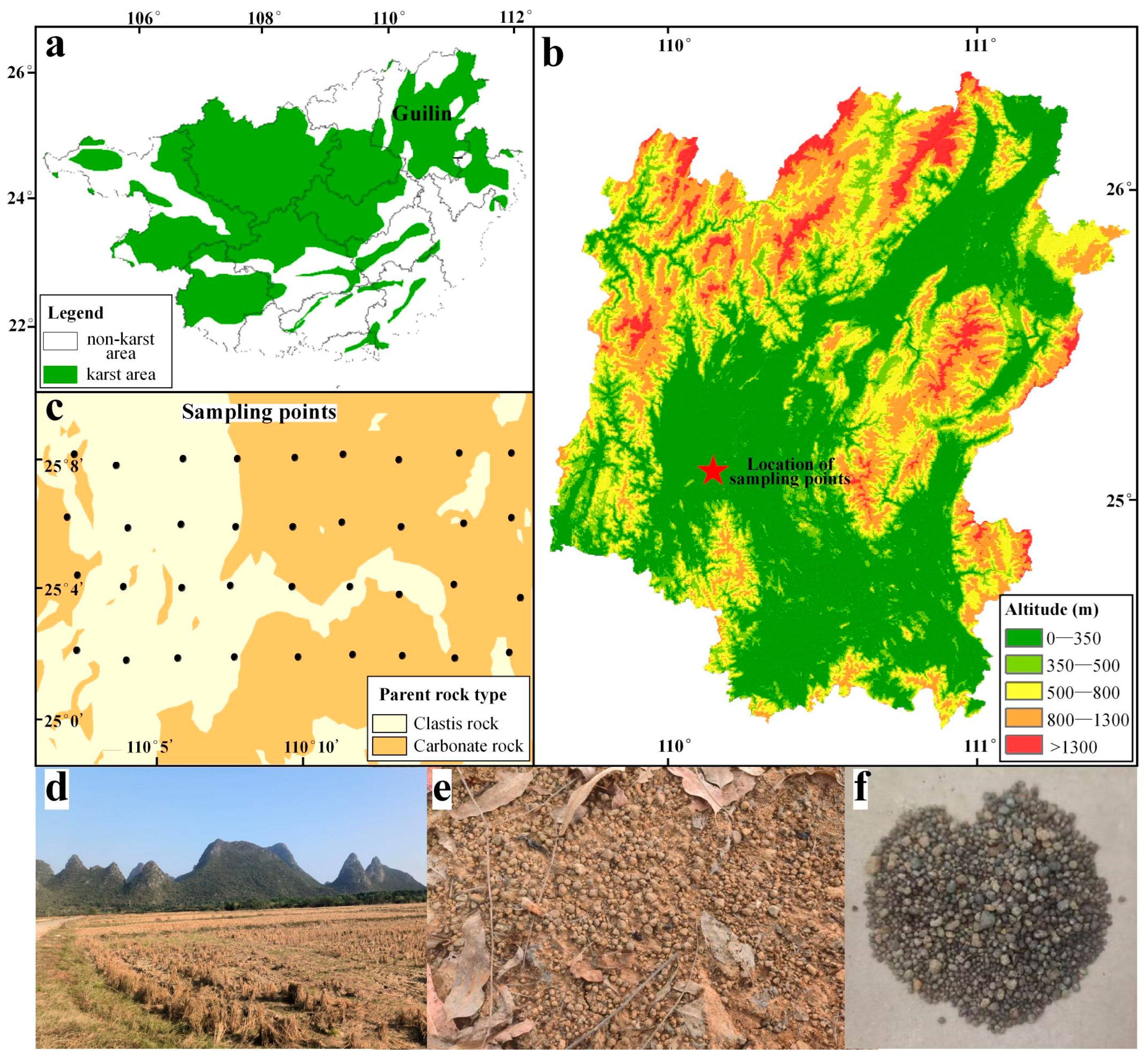 Toxics 13 00746 g001