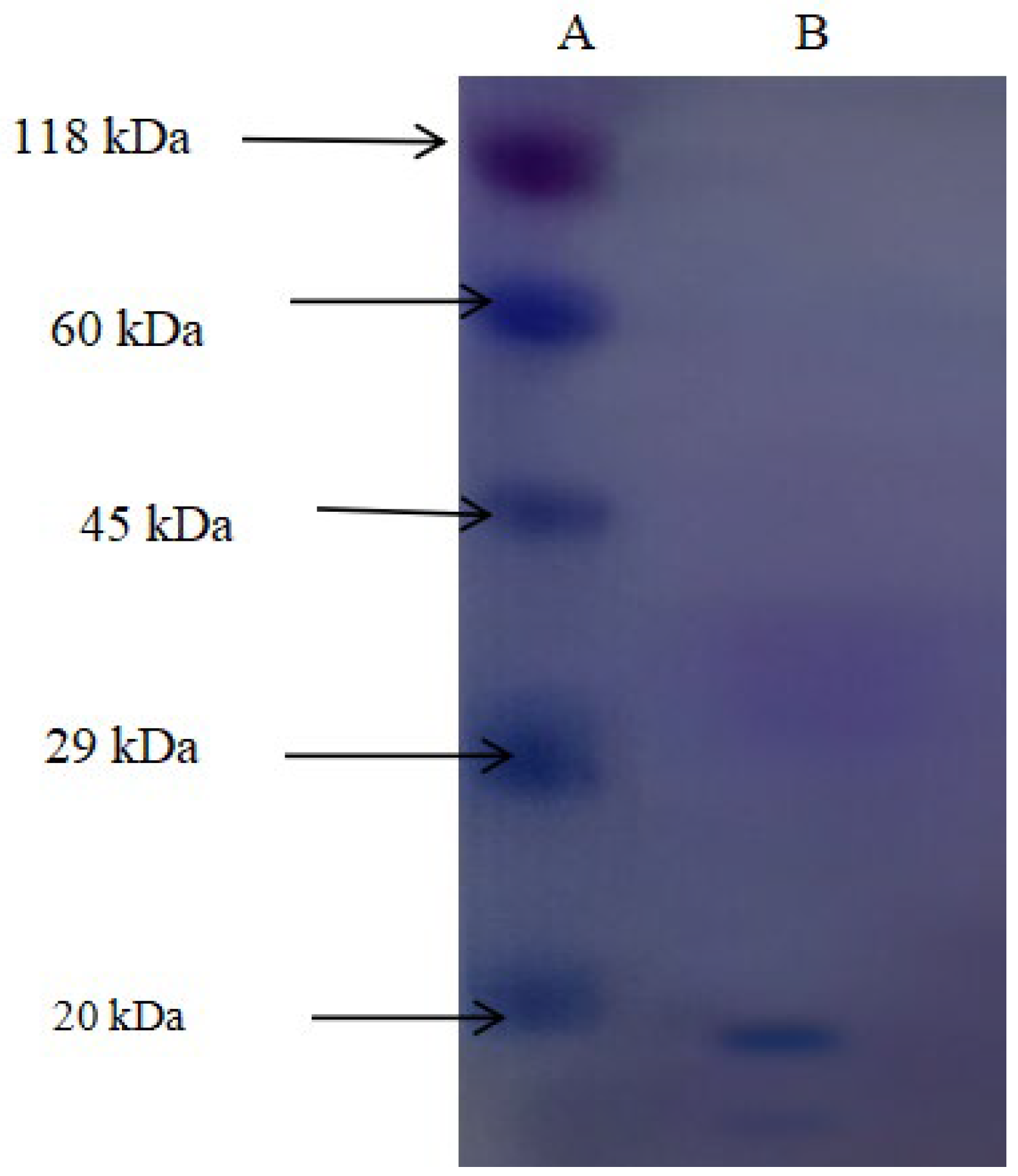 Toxics 13 00750 g010 Toxics 13 00750 g010