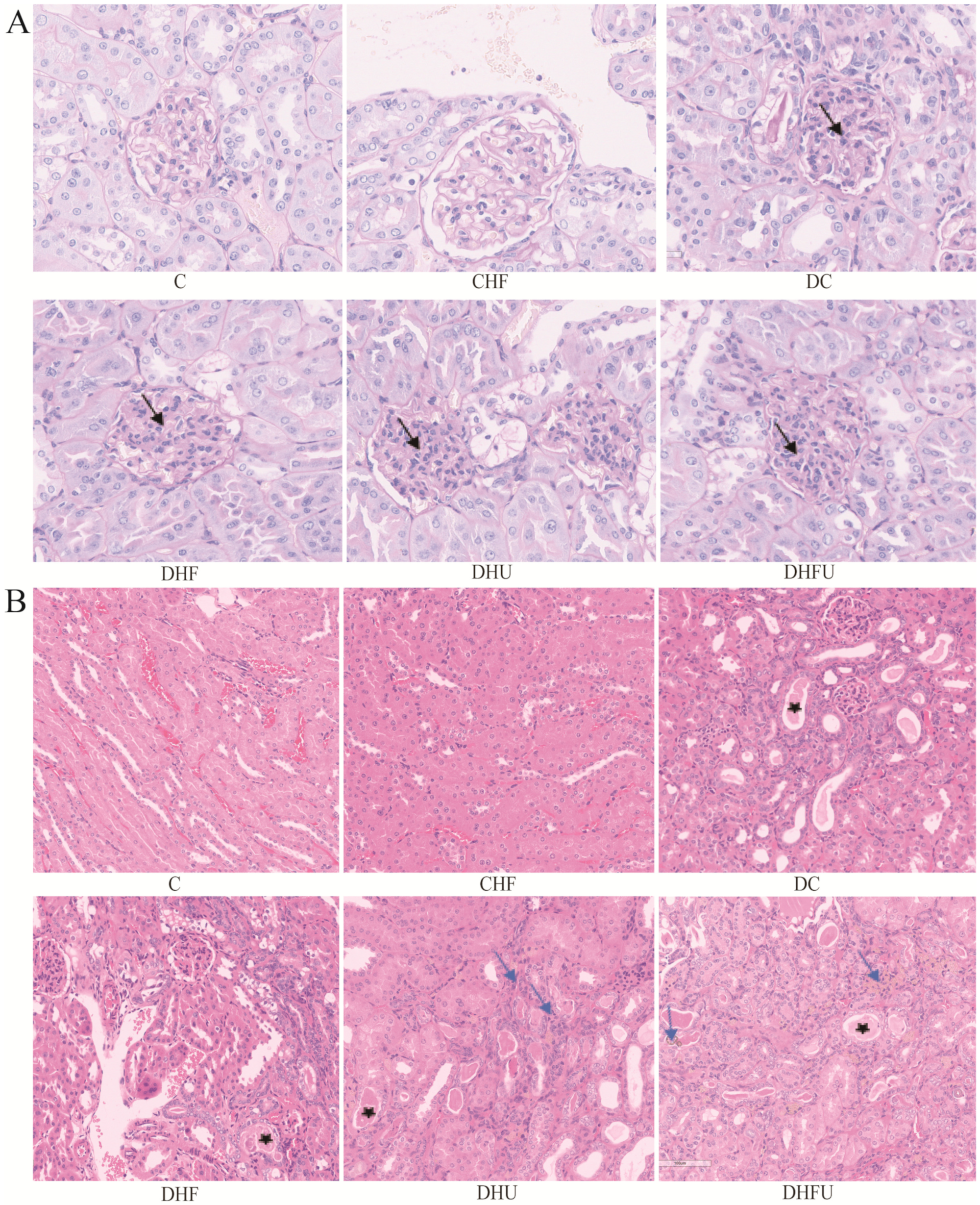 Toxics 13 00751 g002 Toxics 13 00751 g002