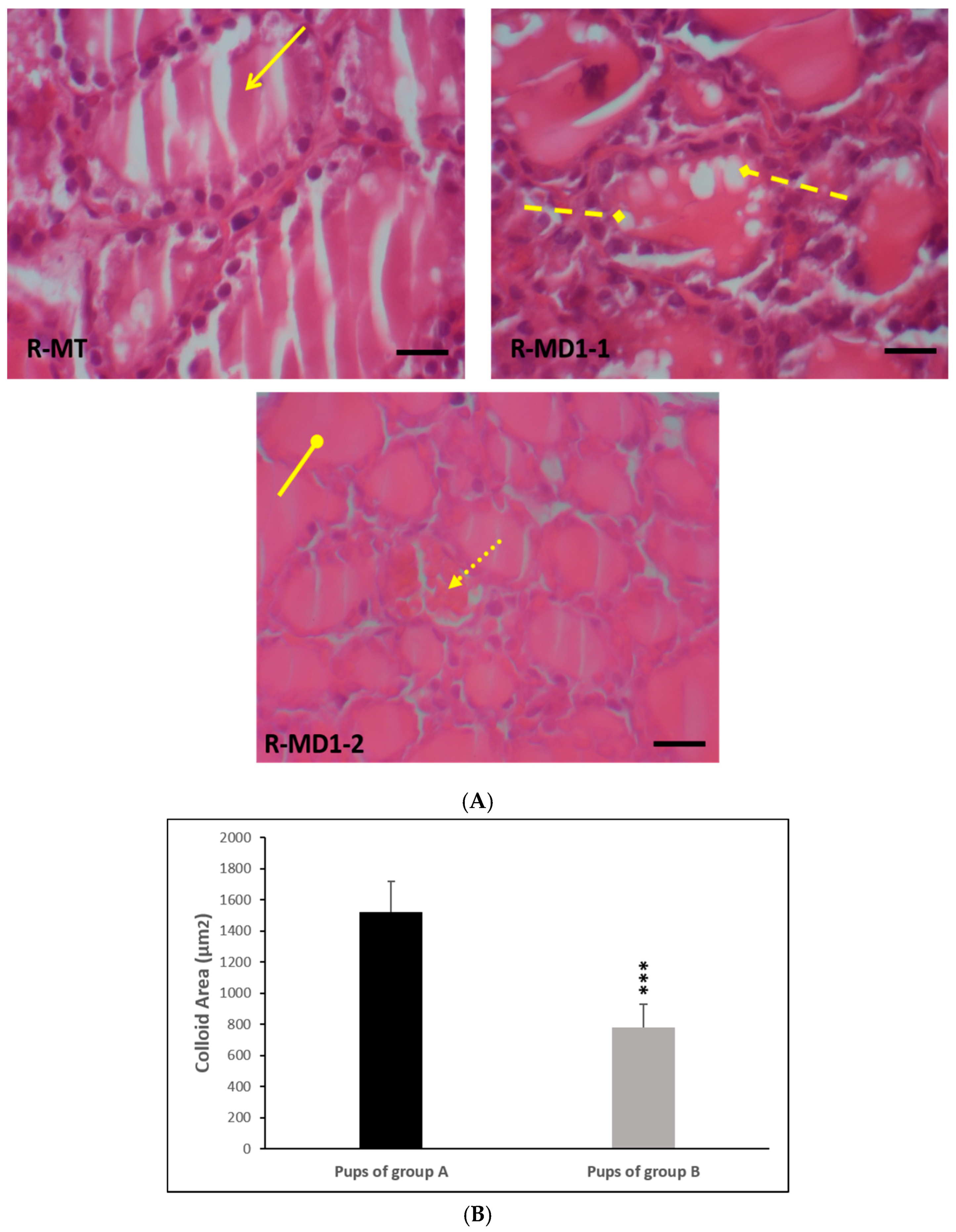Toxics 13 00752 g001