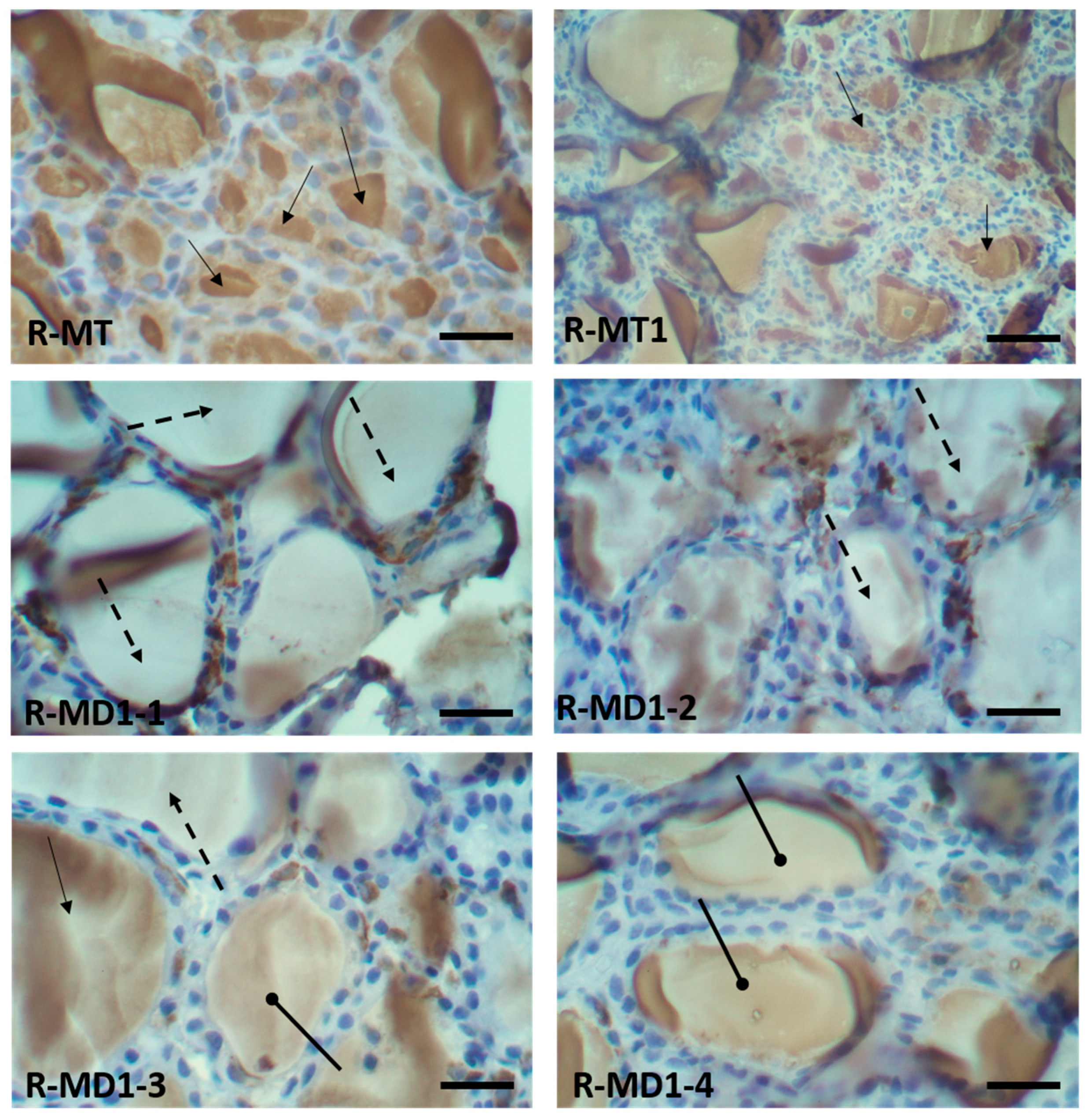 Toxics 13 00752 g002